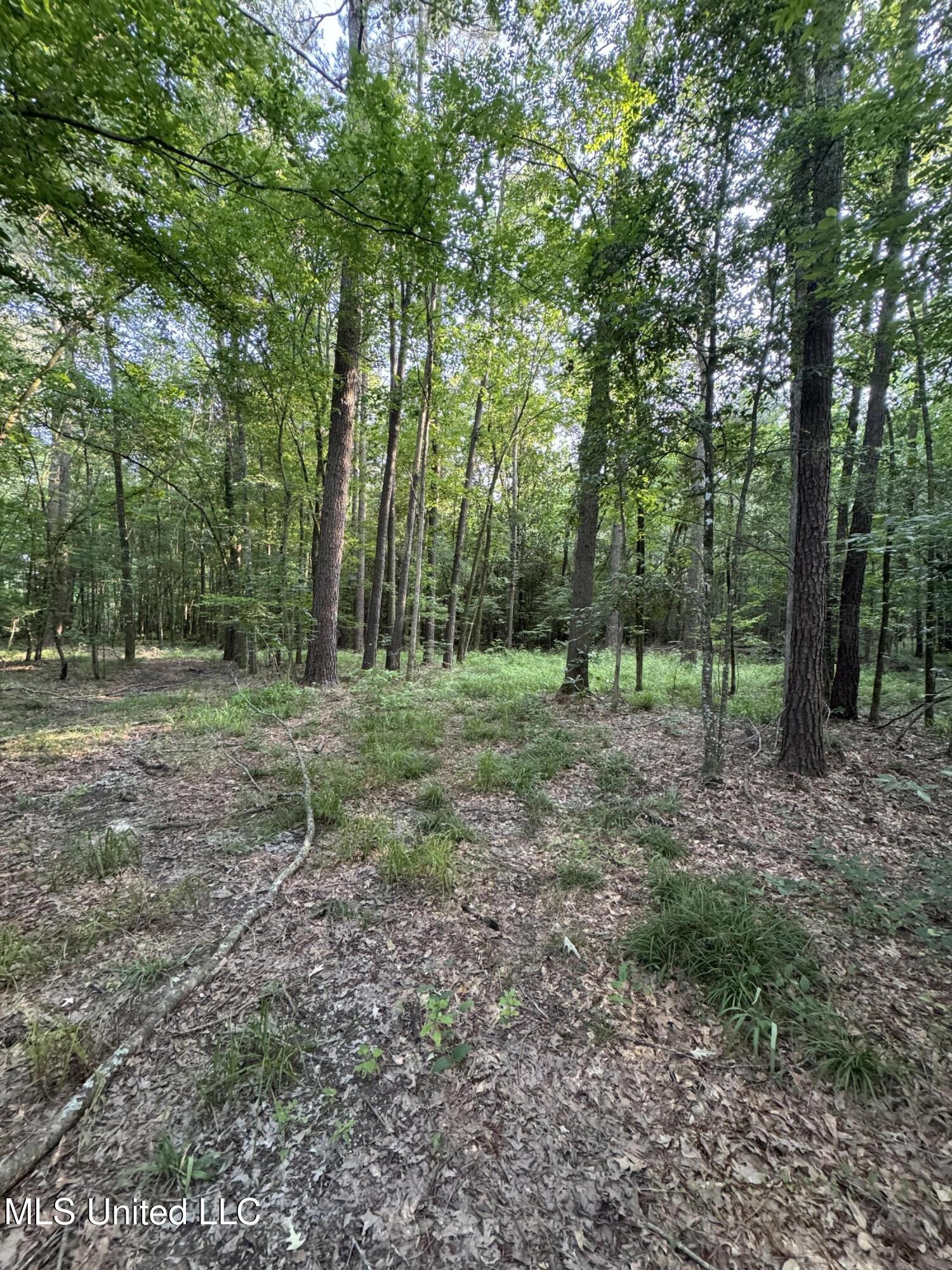 2294 Co Rd 23 Property Photo 31