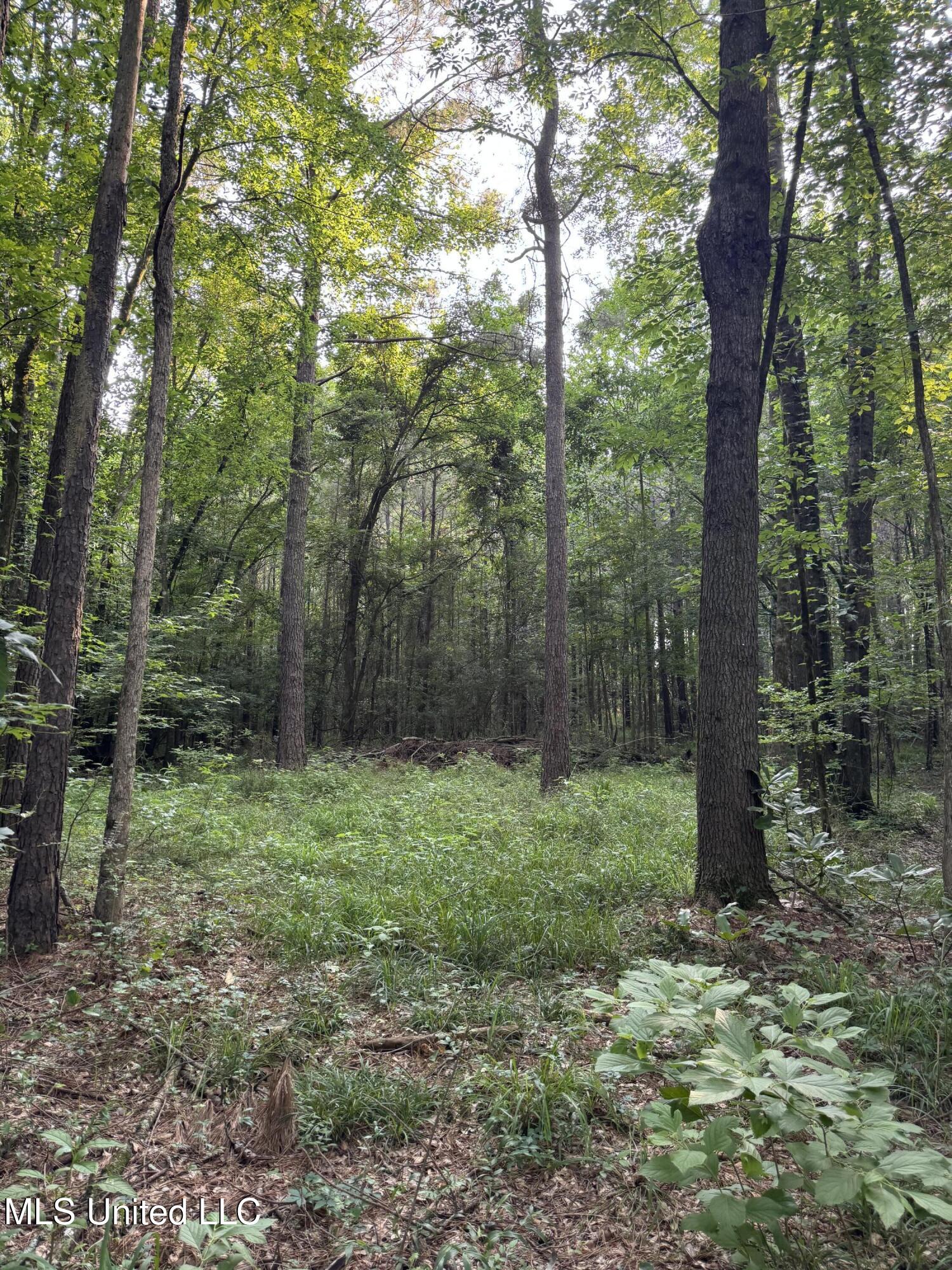 2294 Co Rd 23 Property Photo 32