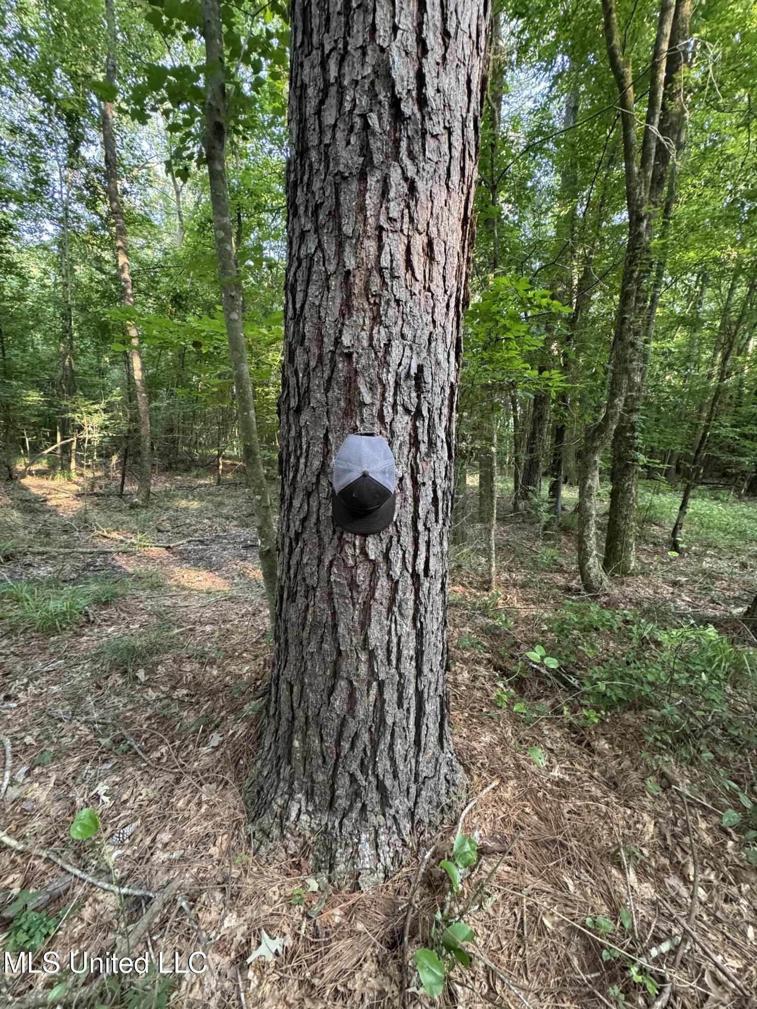 2294 Co Rd 23 Property Photo 33