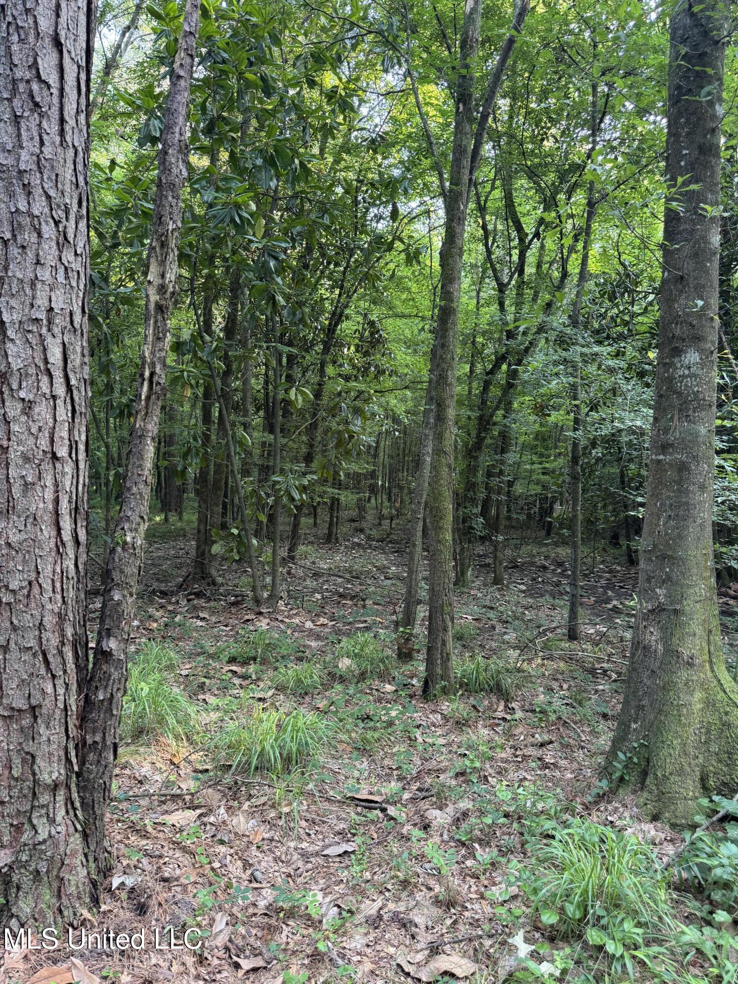 2294 Co Rd 23 Property Photo 34