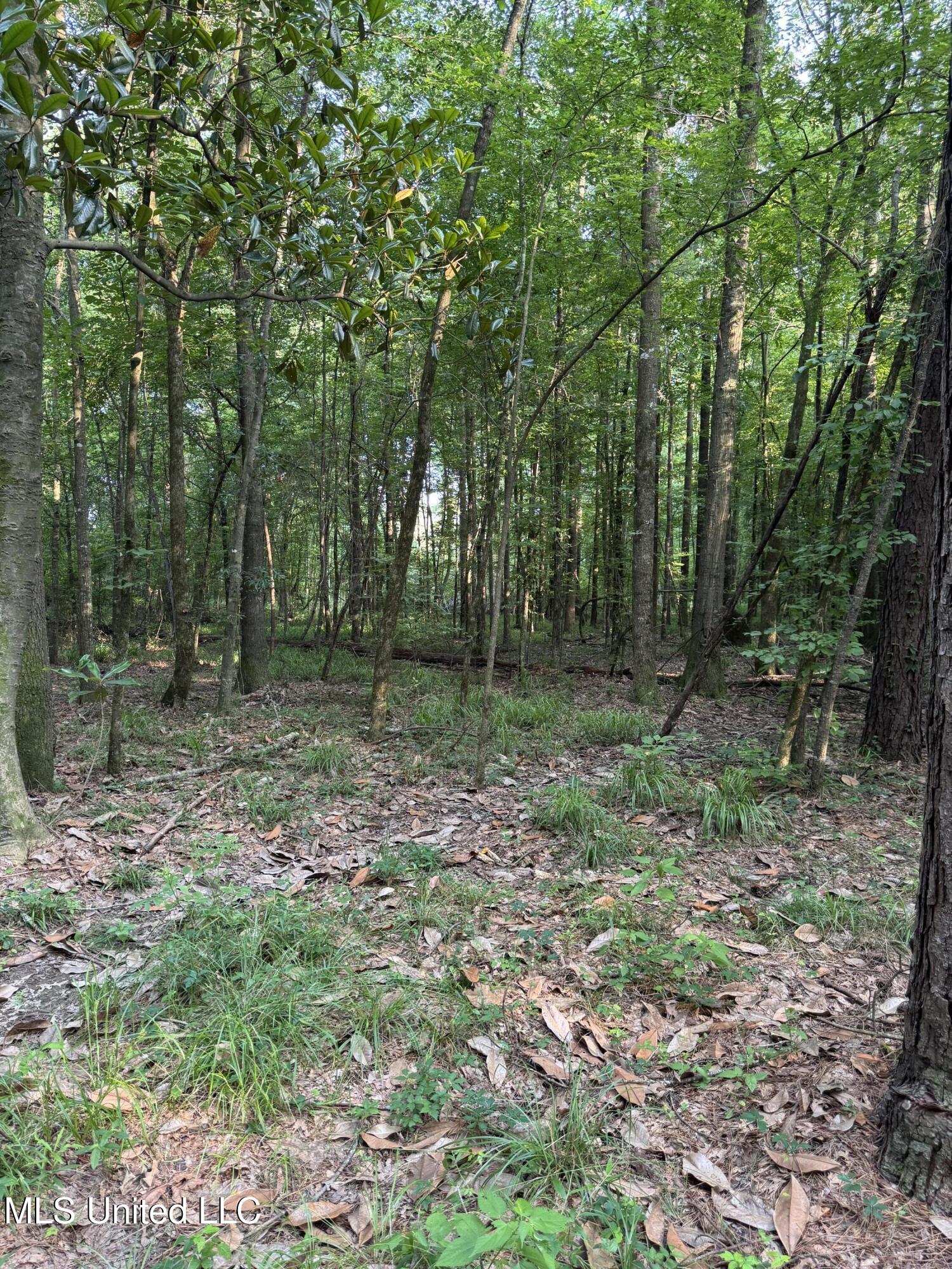 2294 Co Rd 23 Property Photo 35