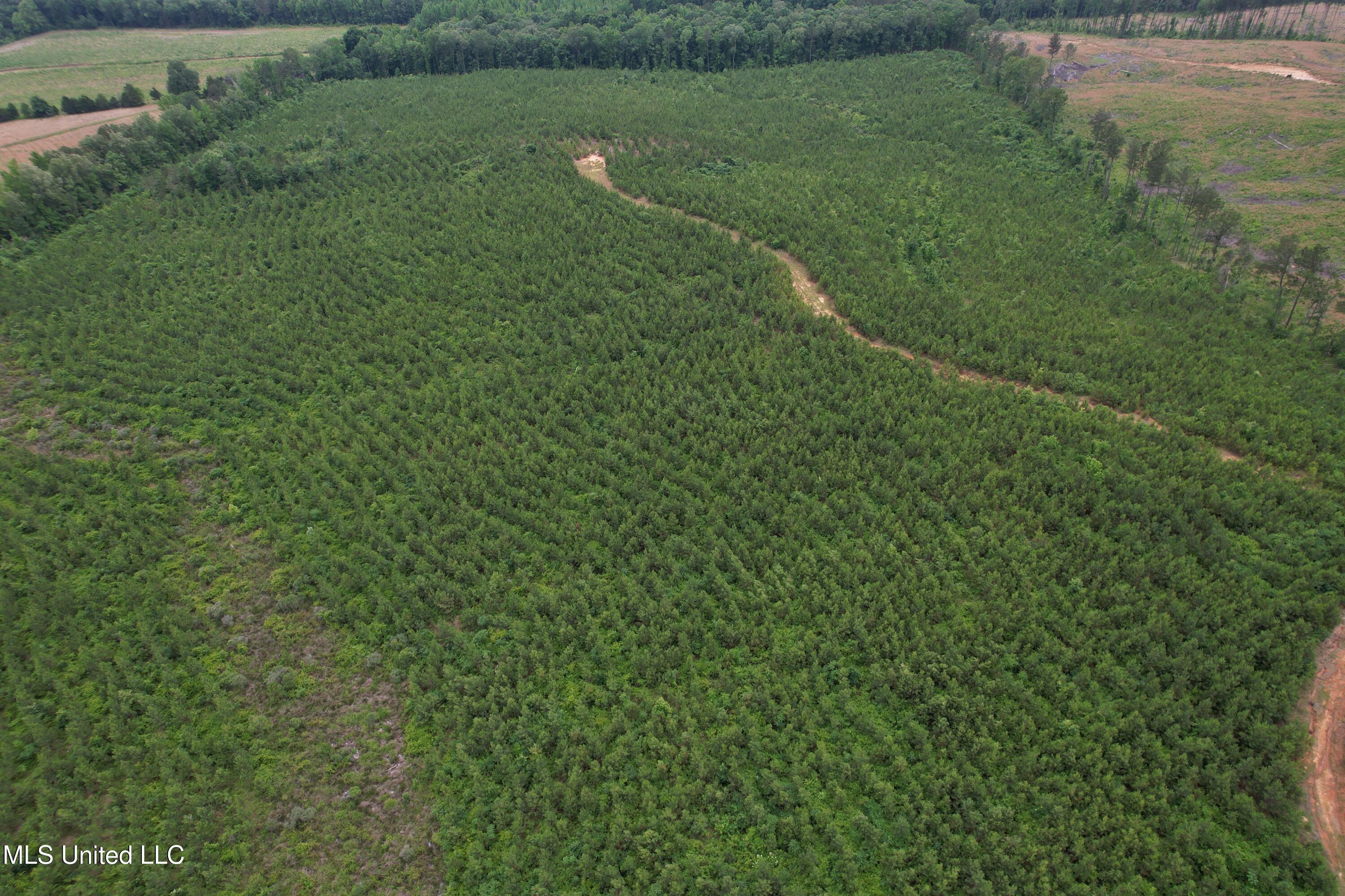 Dividing Ridge Road Property Photo 3
