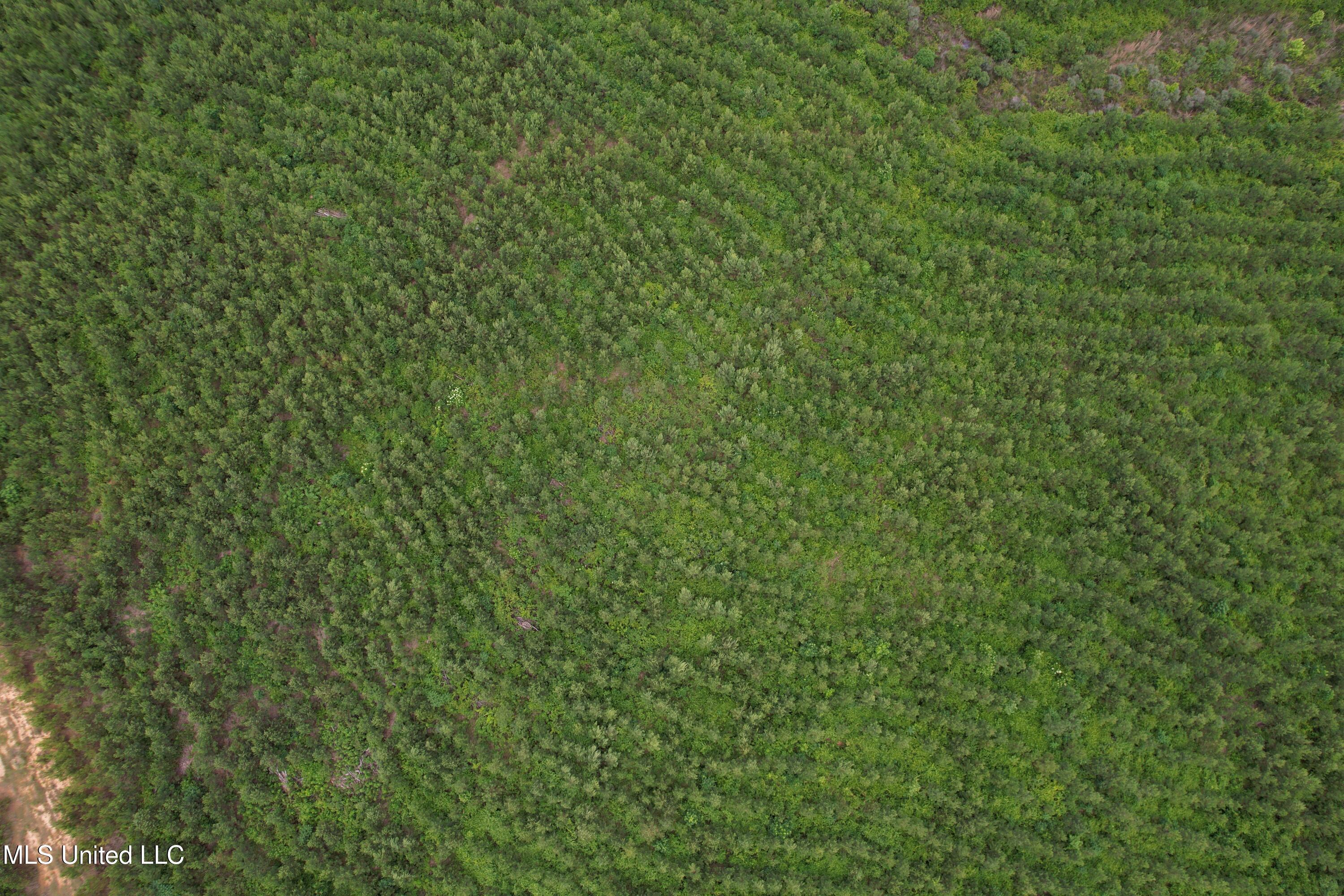 Dividing Ridge Road Property Photo 4