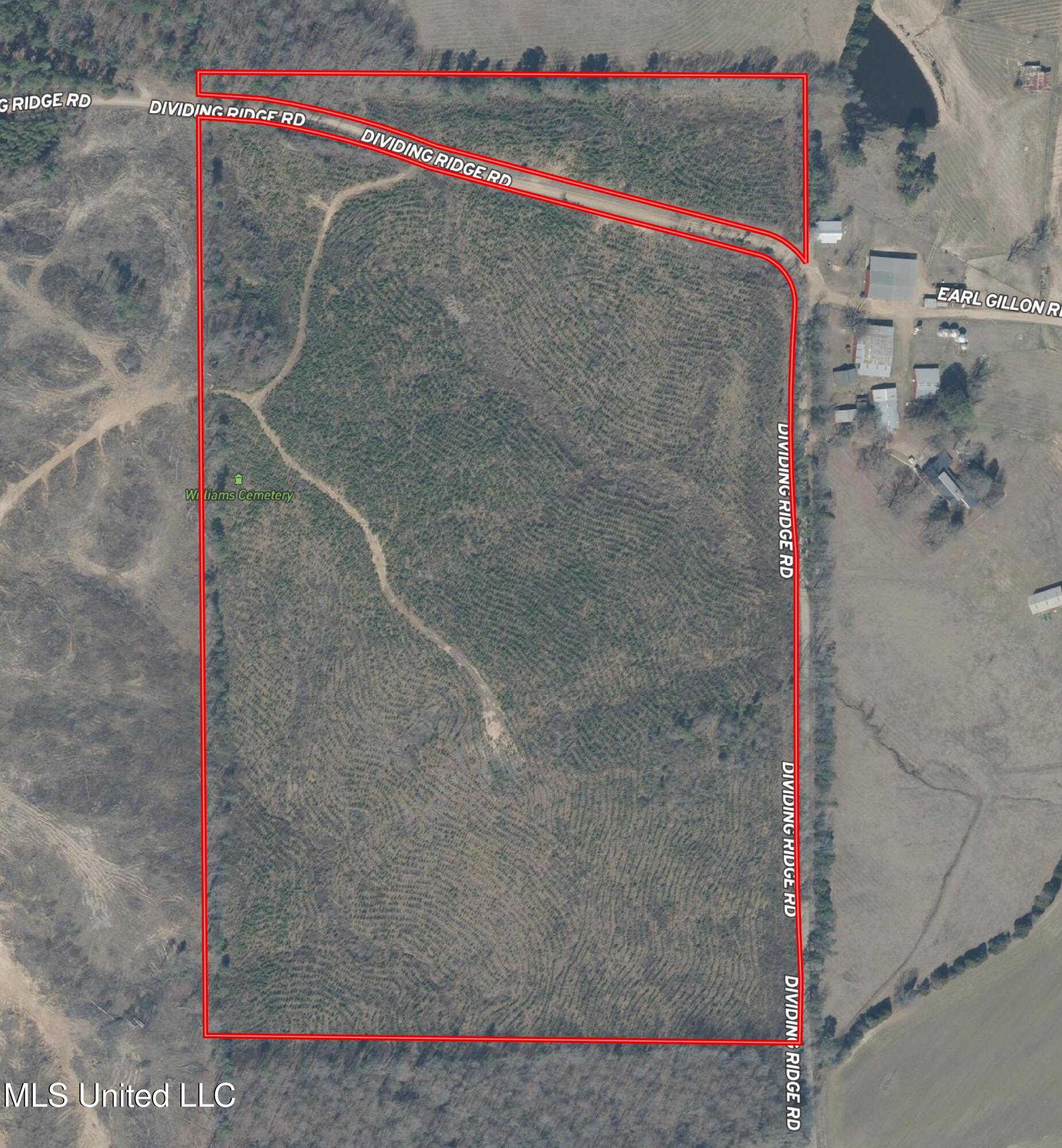 Dividing Ridge Road Property Photo 8