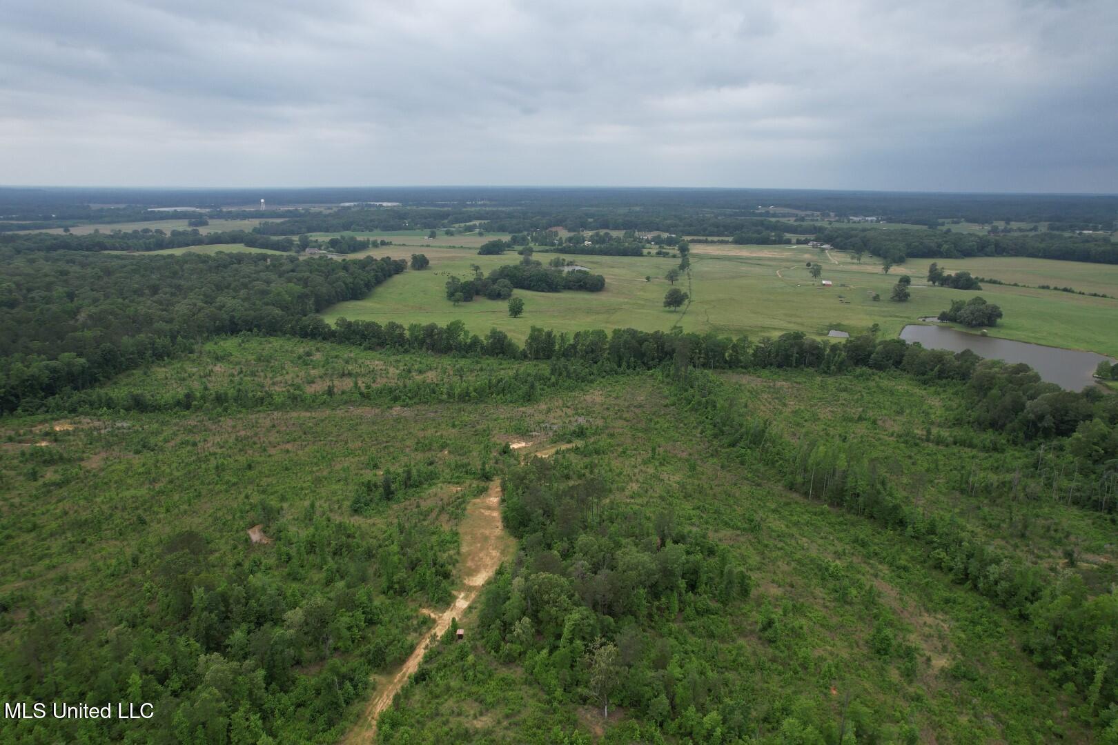 Off Highway 333 Property Photo 3