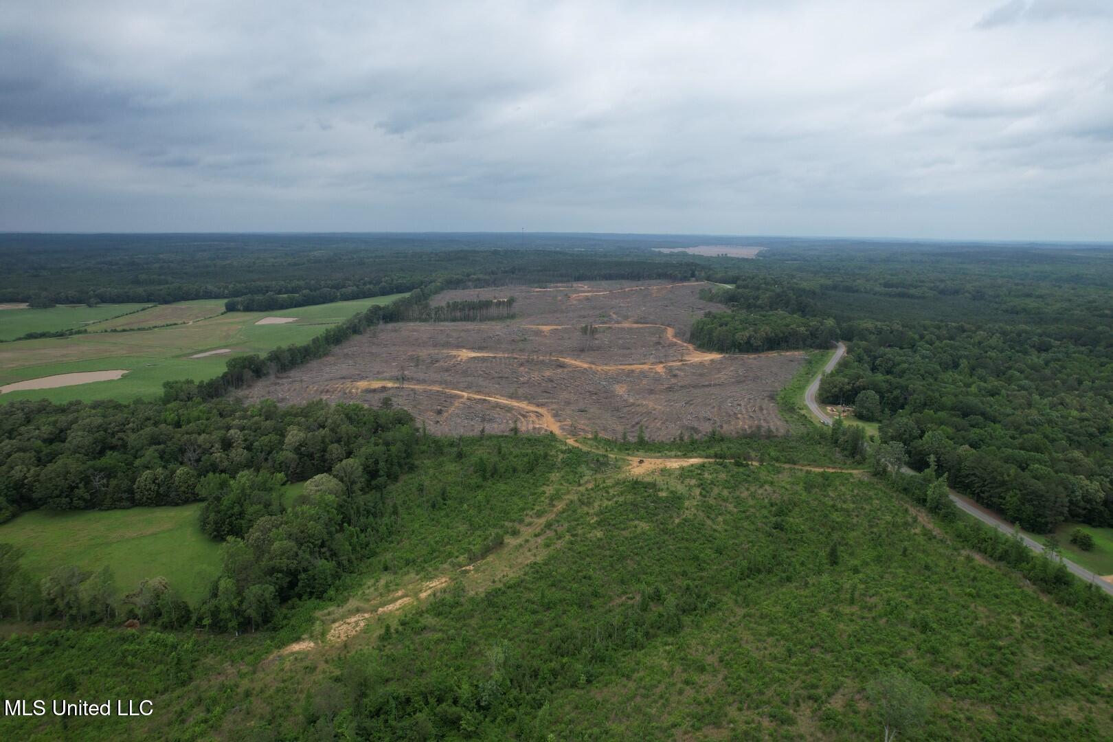 Off Highway 333 Property Photo 4