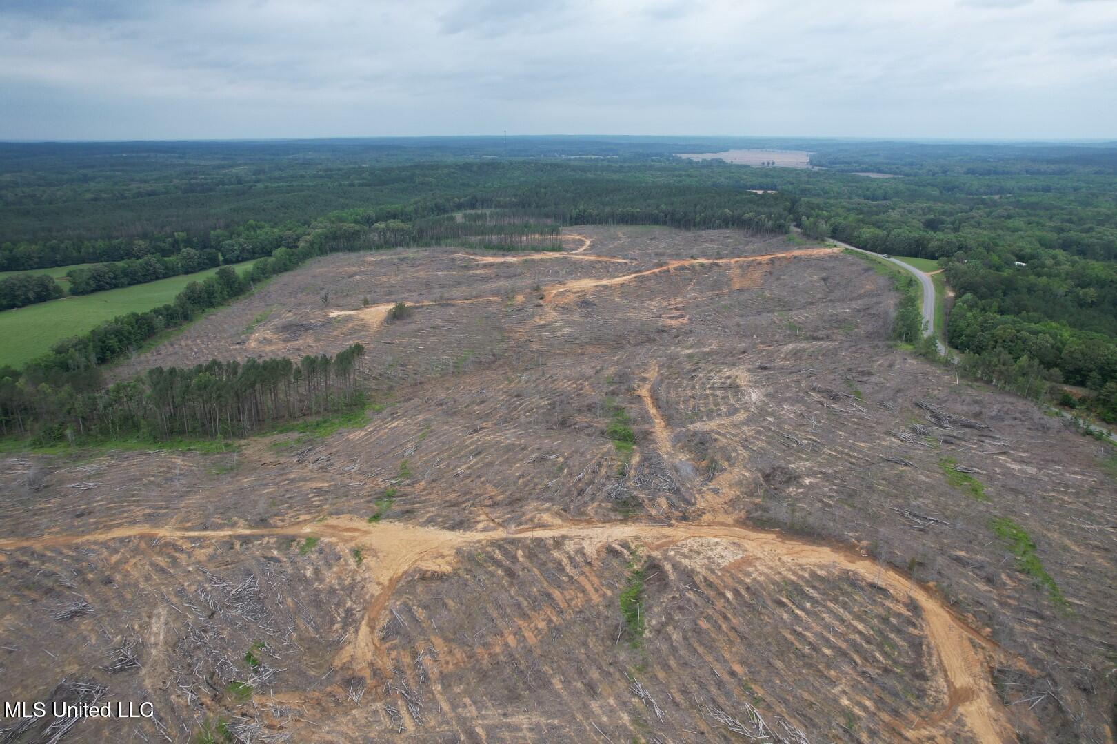 Off Highway 333 Property Photo 5