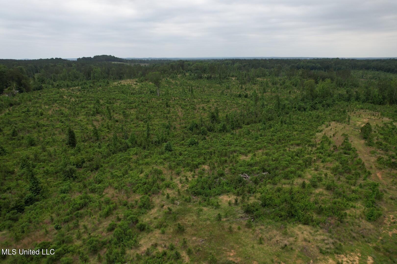 Off Highway 333 Property Photo 6