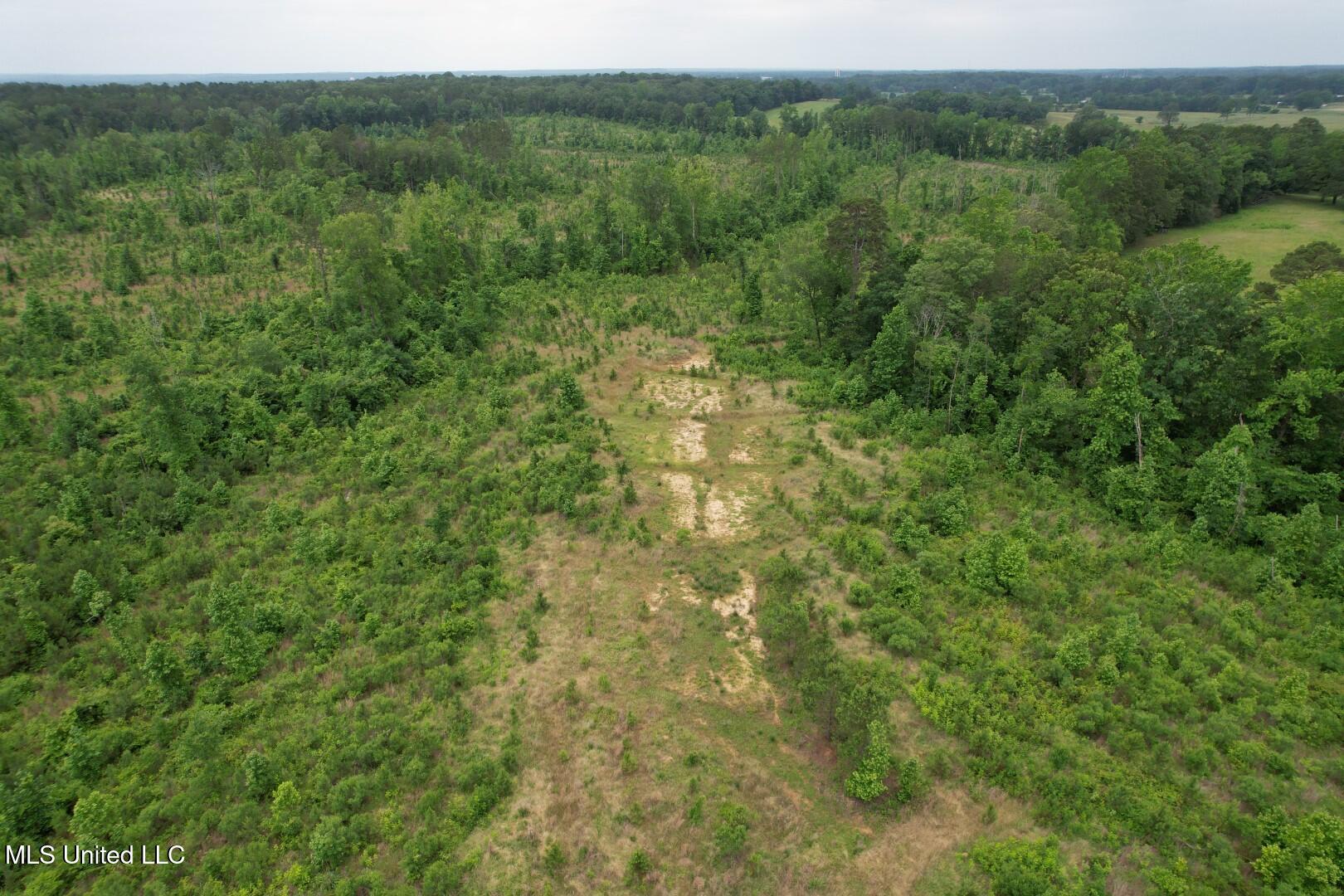 Off Highway 333 Property Photo 7