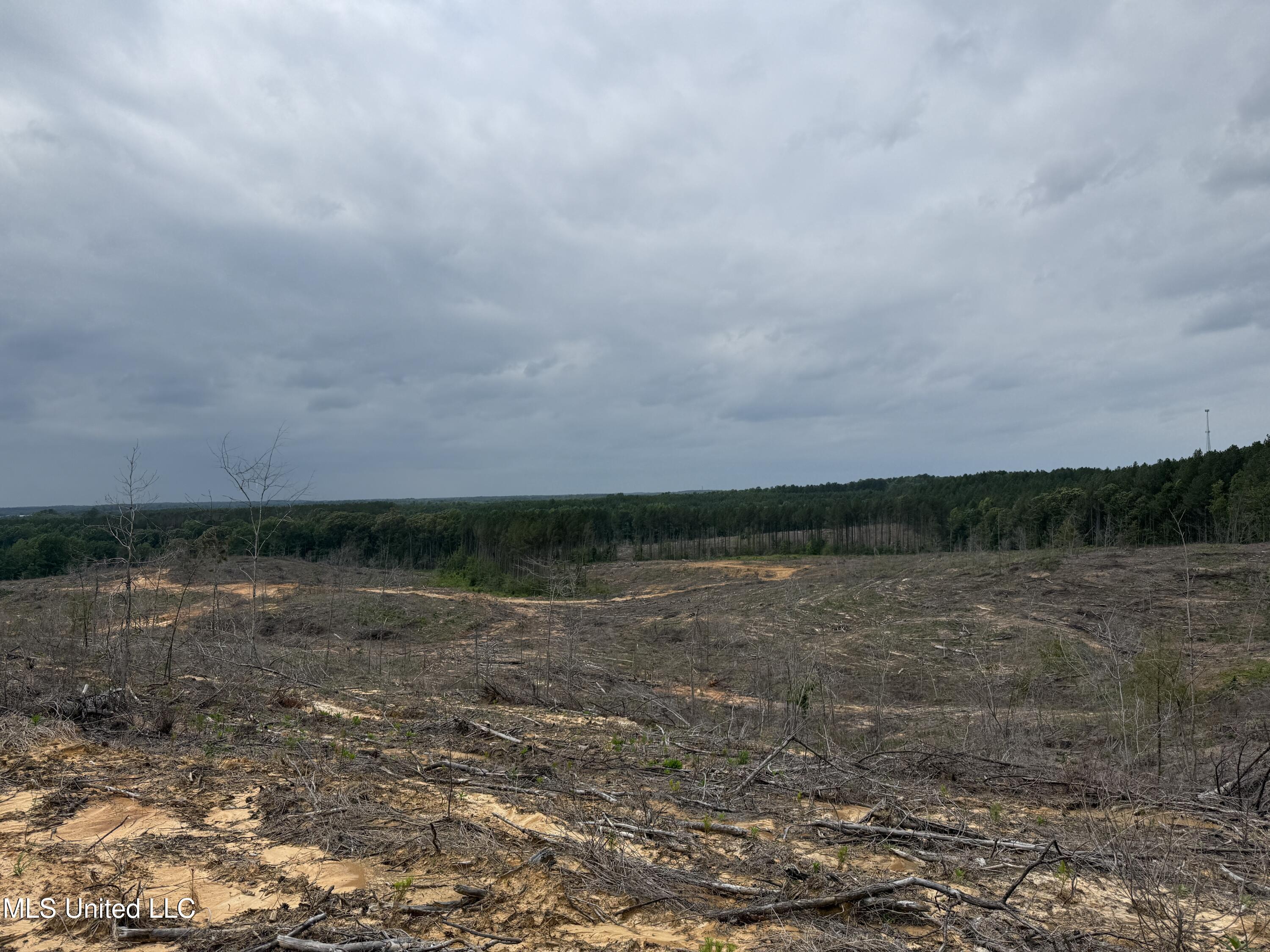 Off Highway 333 Property Photo 8