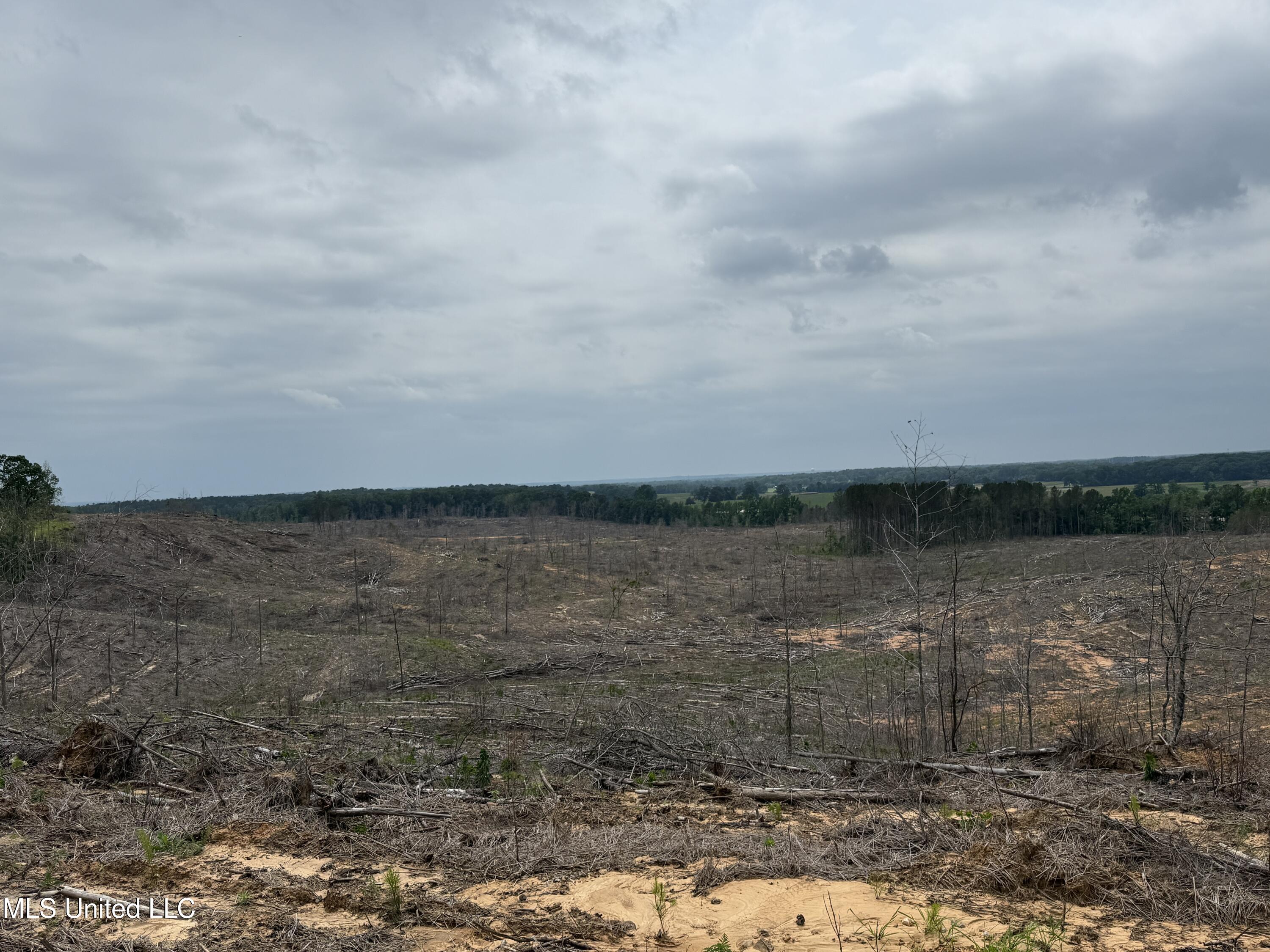 Off Highway 333 Property Photo 9