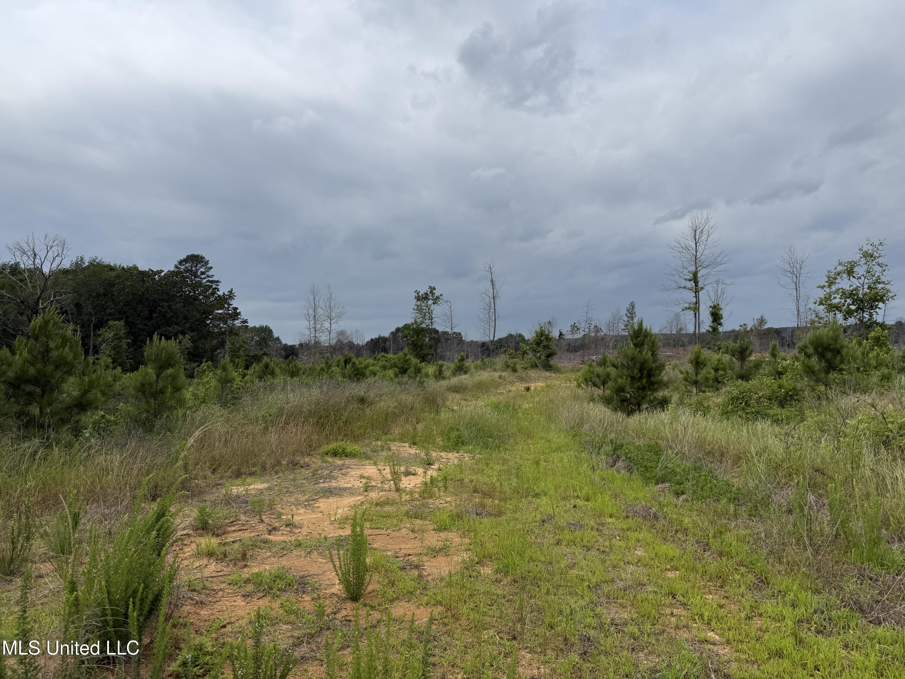Off Highway 333 Property Photo 10