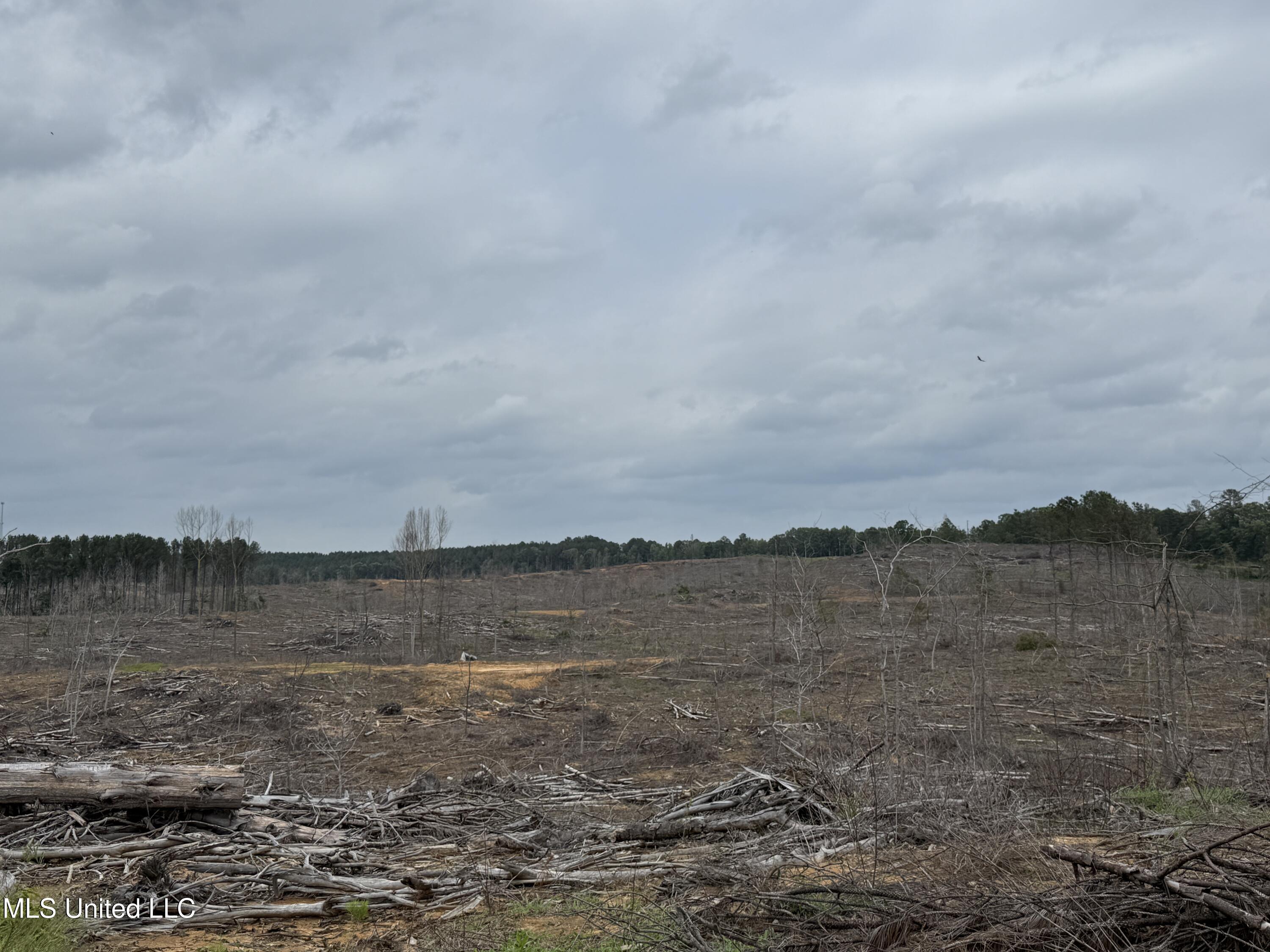 Off Highway 333 Property Photo 11