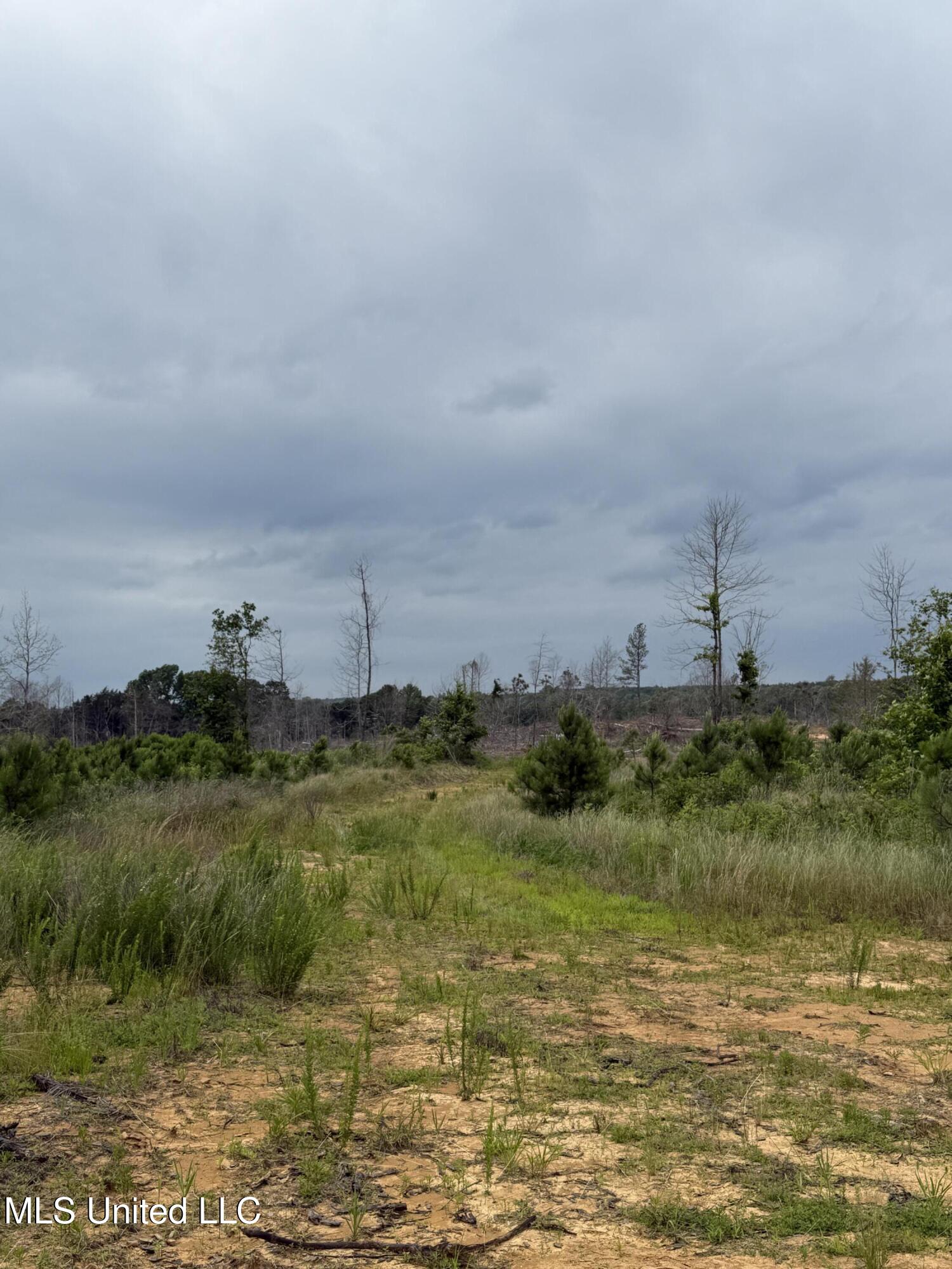 Off Highway 333 Property Photo 12