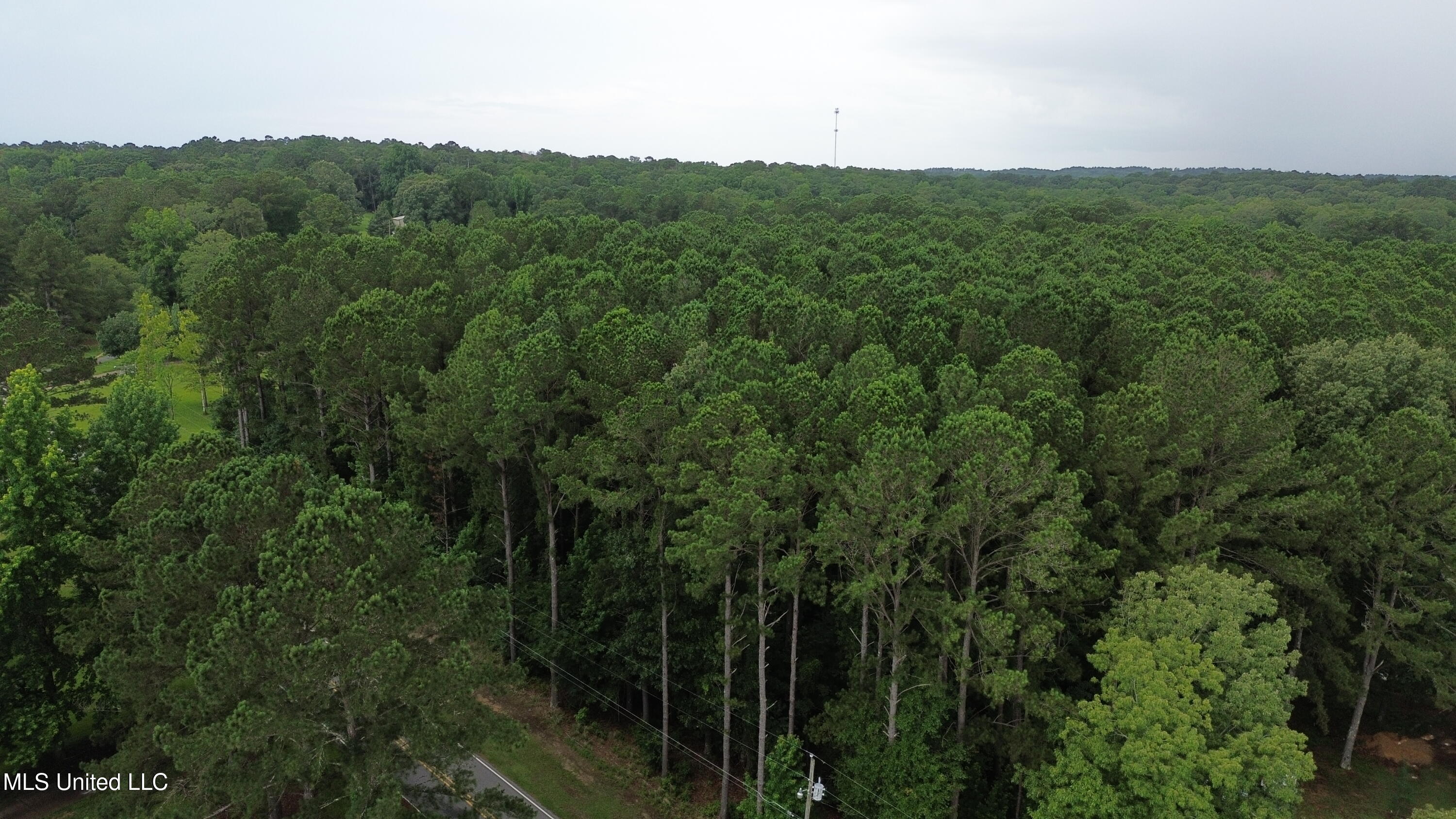 00 Hebron Hill Drive Property Photo 3