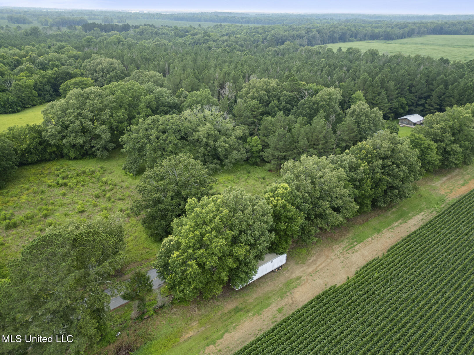 Lewis Prestage Road Property Photo 4