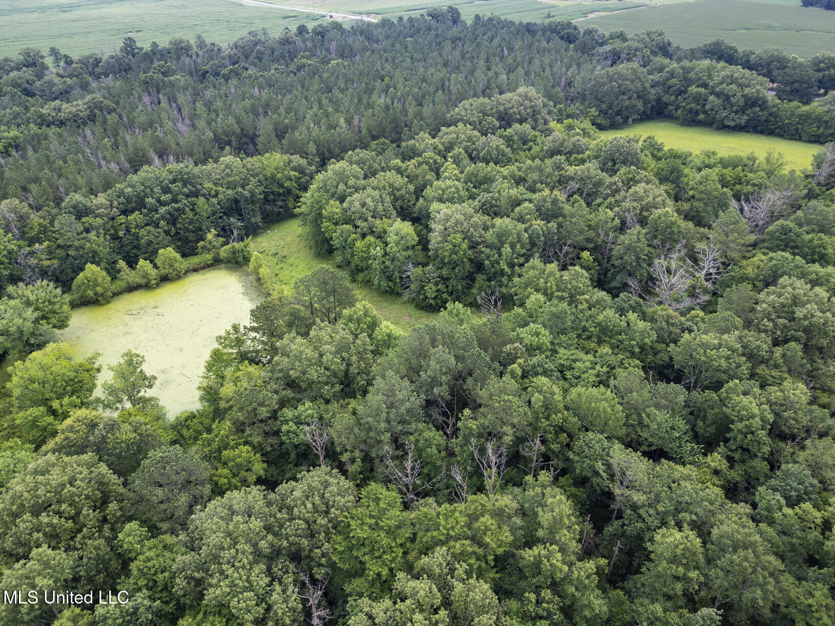 Lewis Prestage Road Property Photo 11