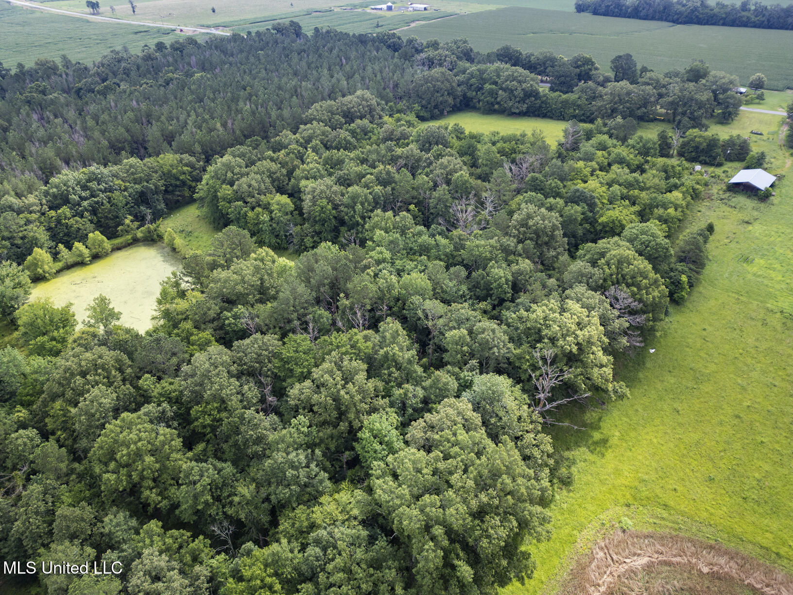 Lewis Prestage Road Property Photo 12