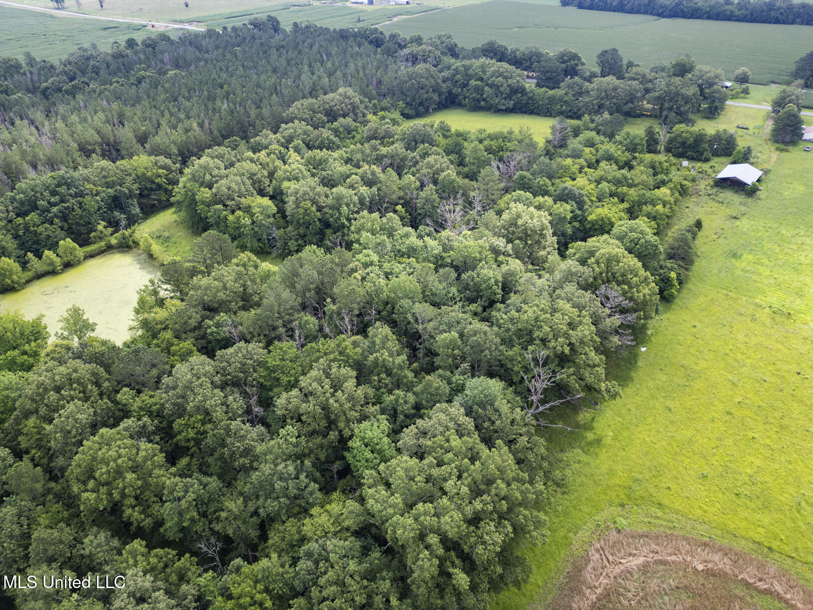 Lewis Prestage Road Property Photo 13
