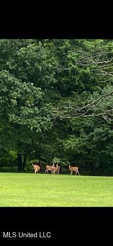 4210 Red Oaks Drive Property Photo 40