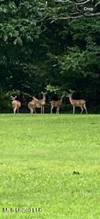 4210 Red Oaks Drive Property Photo 41