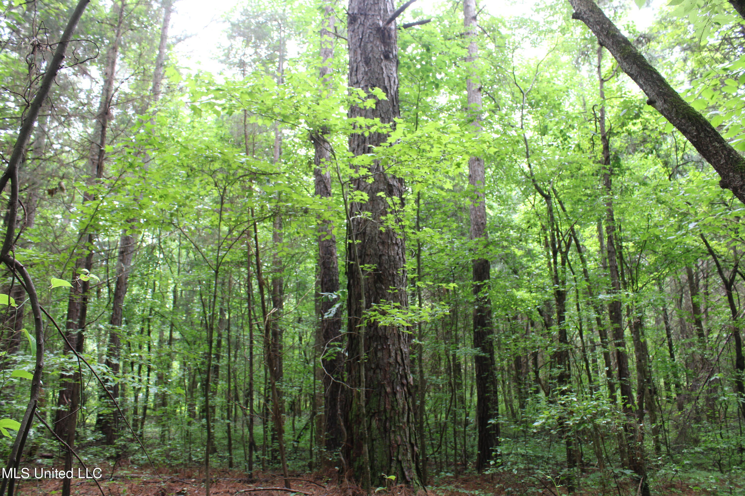 600 Jessie's Road Property Photo 1