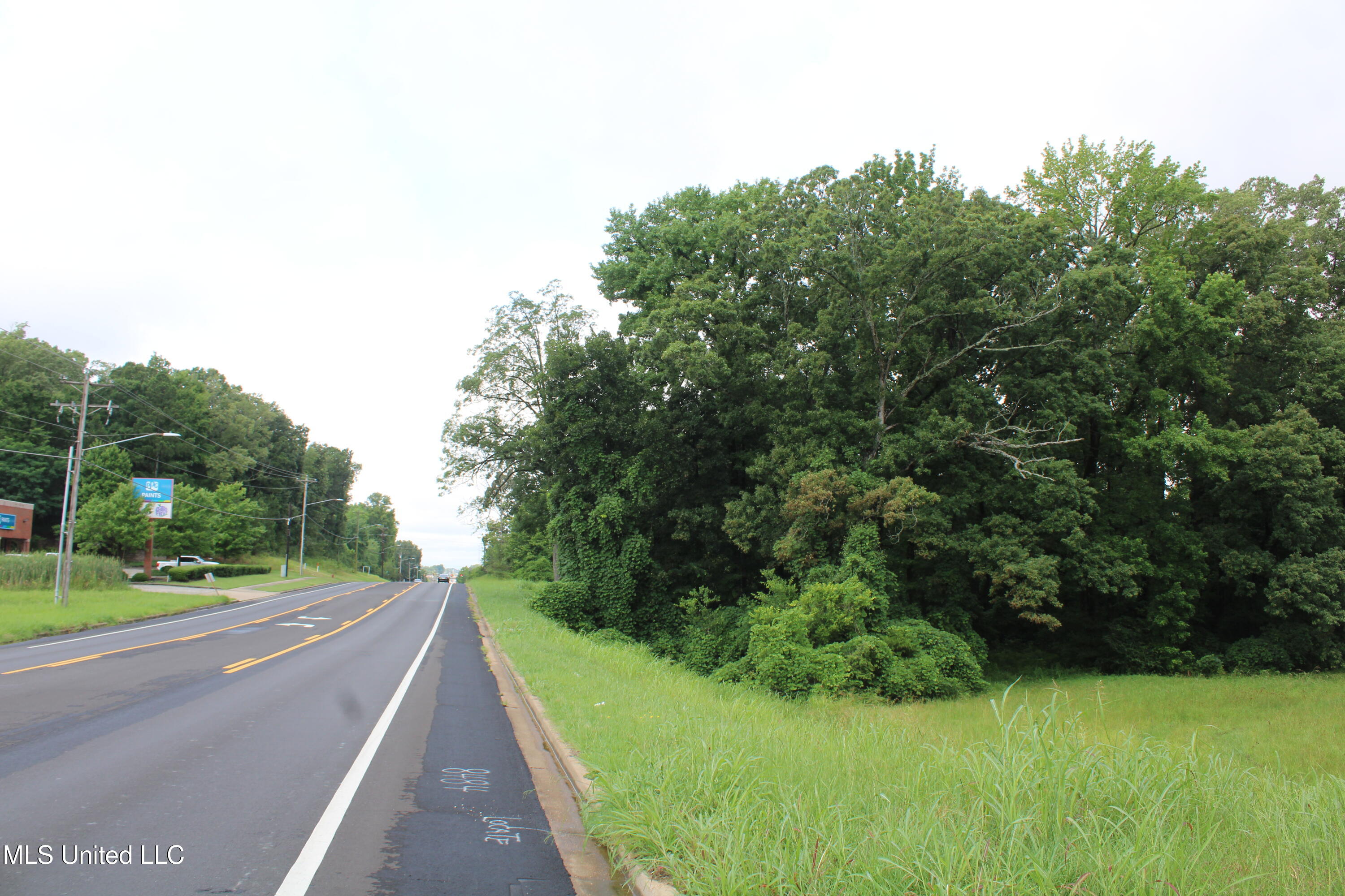 8484 Goodman Road Property Photo 3