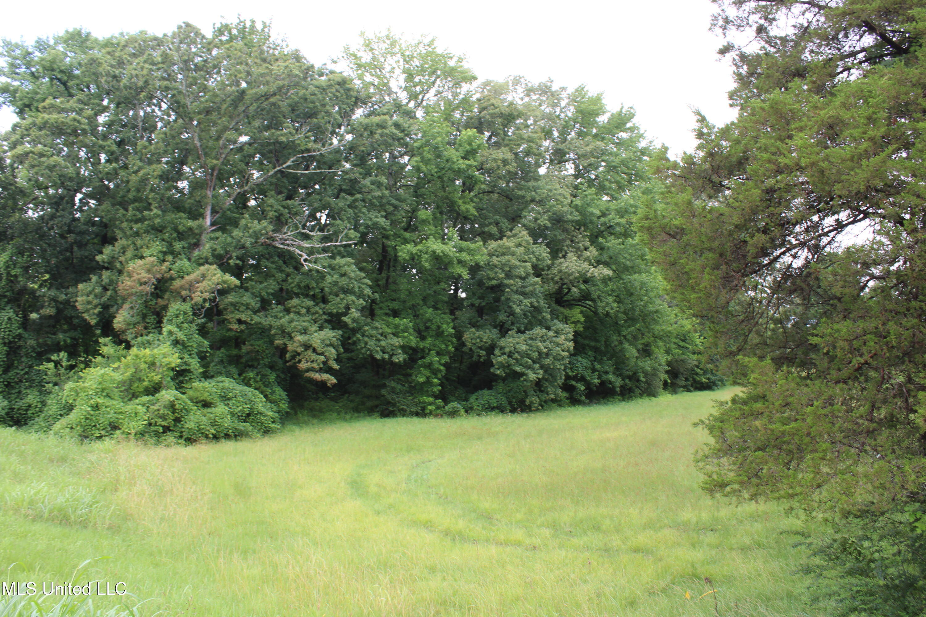 8484 Goodman Road Property Photo 4