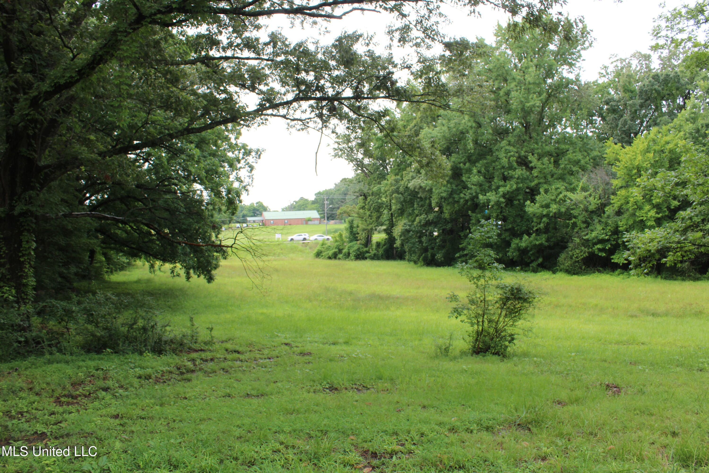 8484 Goodman Road Property Photo 7