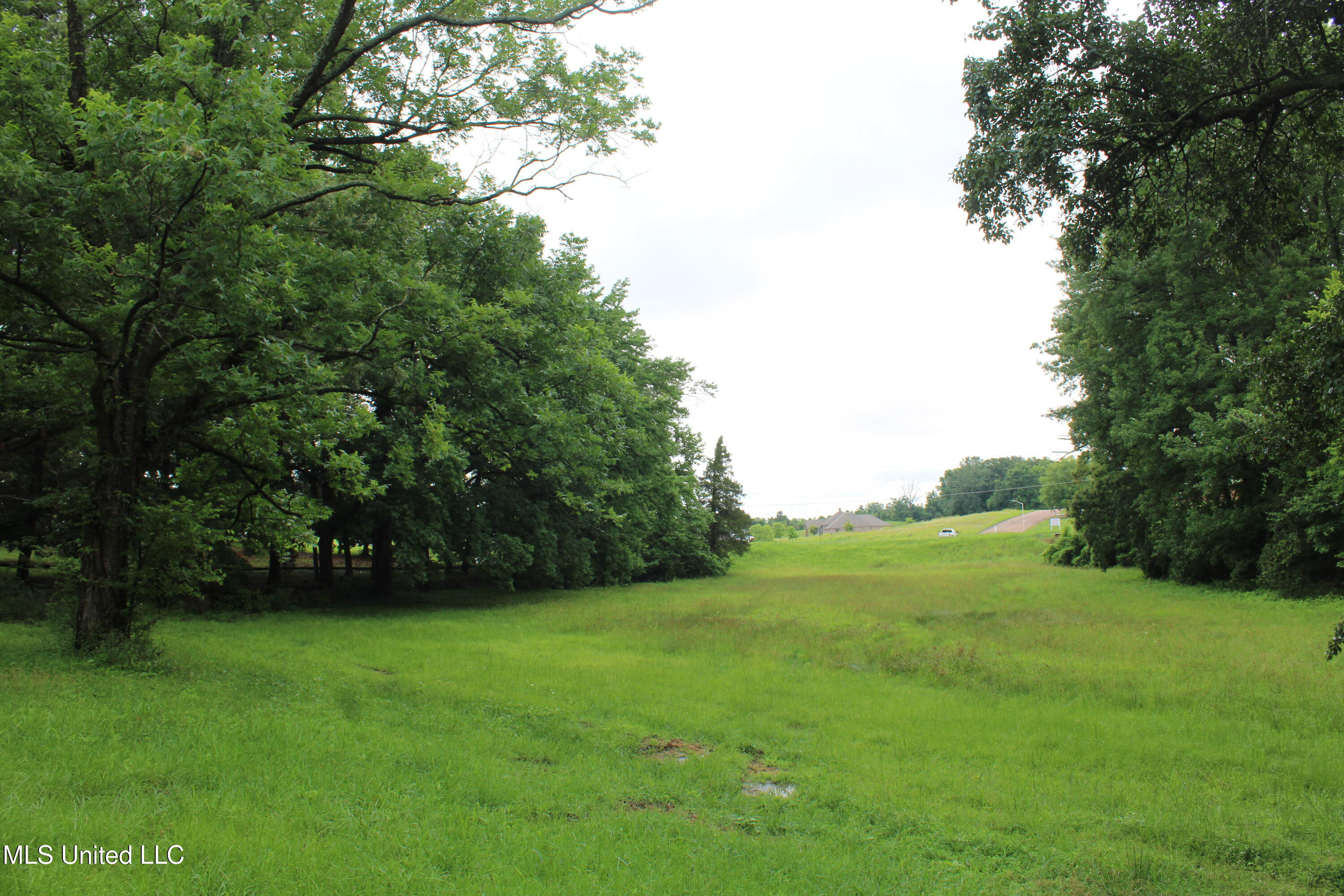 8484 Goodman Road Property Photo 8