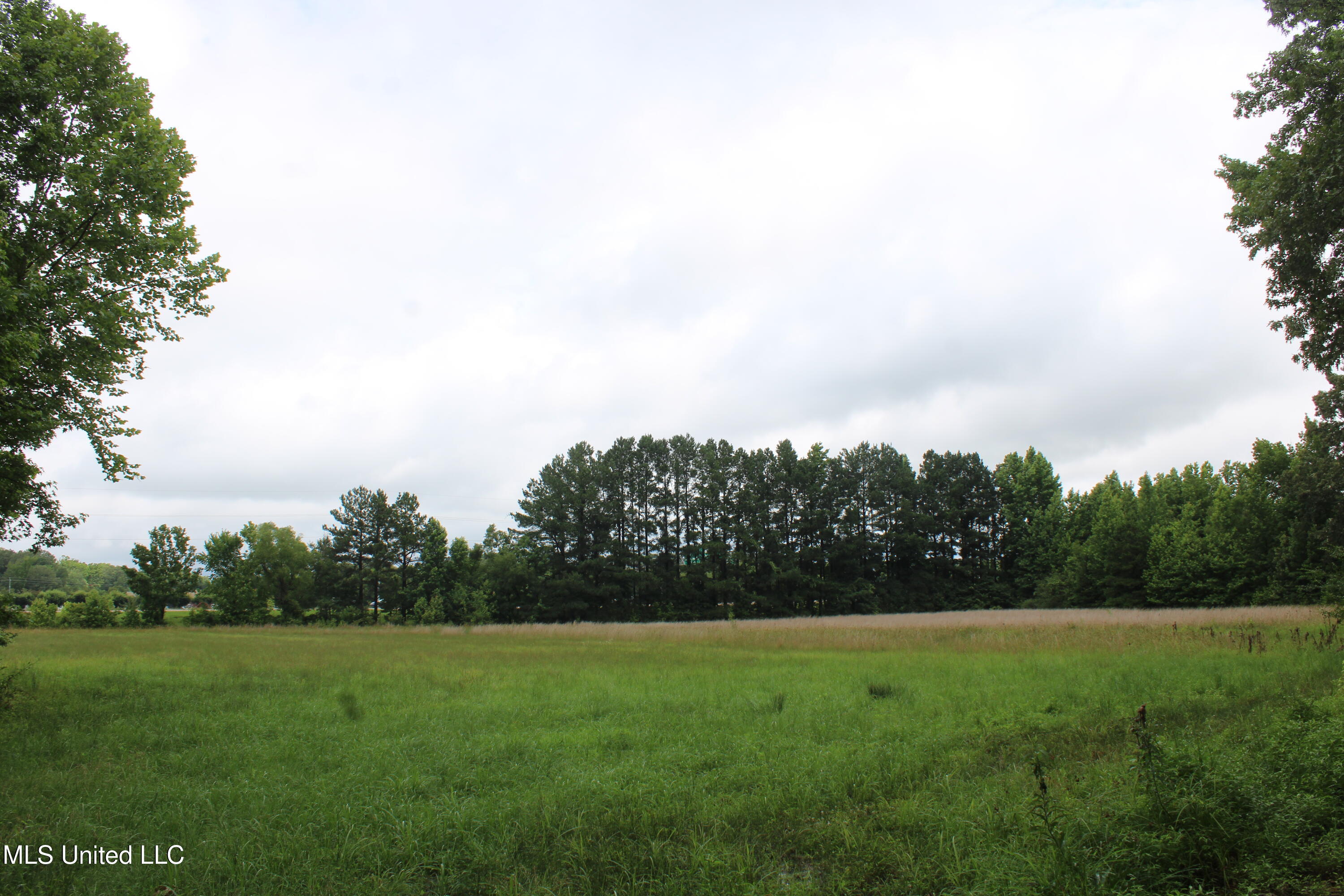 8484 Goodman Road Property Photo 10