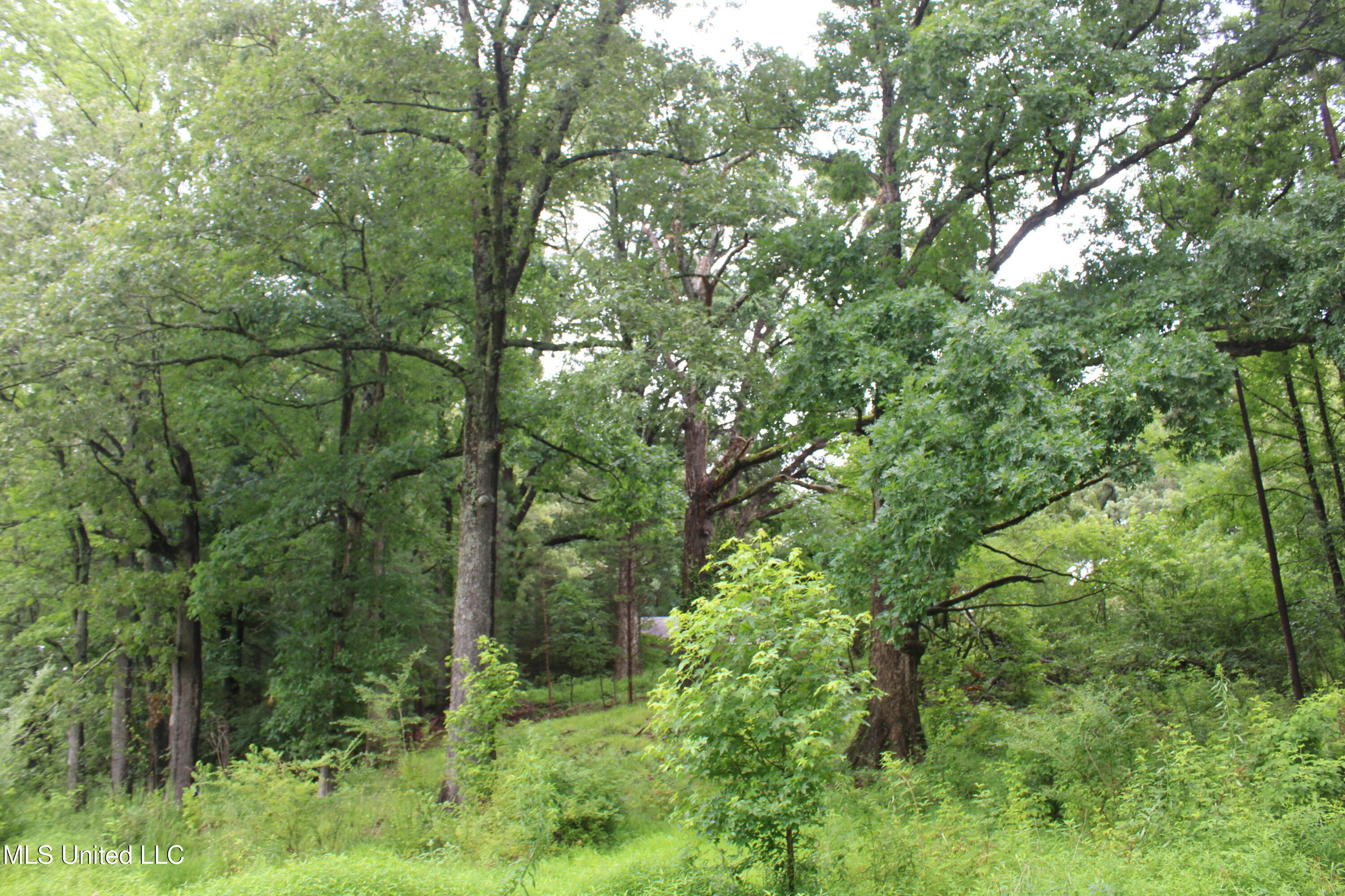 8484 Goodman Road Property Photo 11