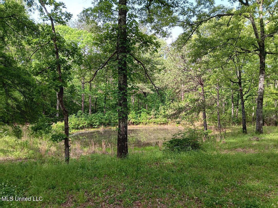 1199 Dry Grove Road Property Photo 2