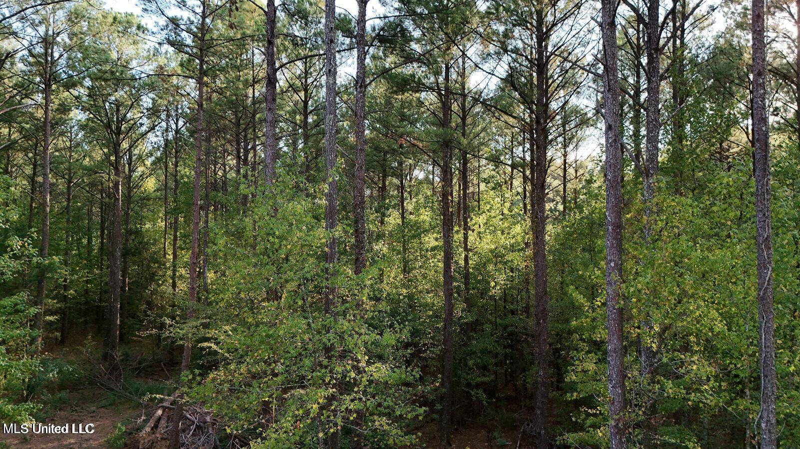 4884 Hwy 13 North Property Photo 3