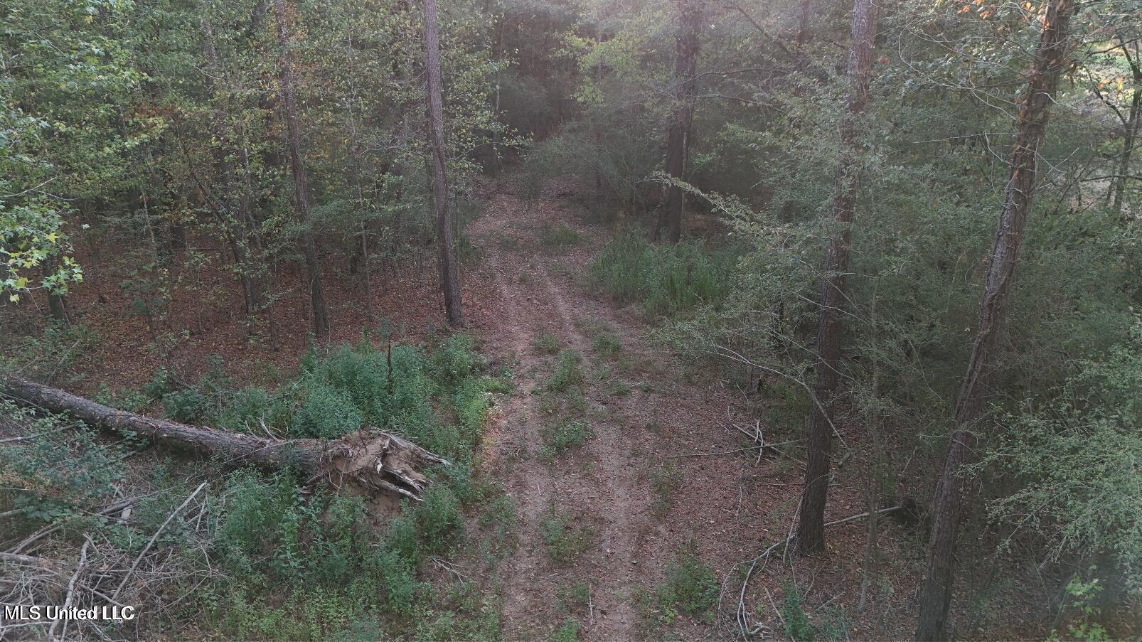 4884 Hwy 13 North Property Photo 4