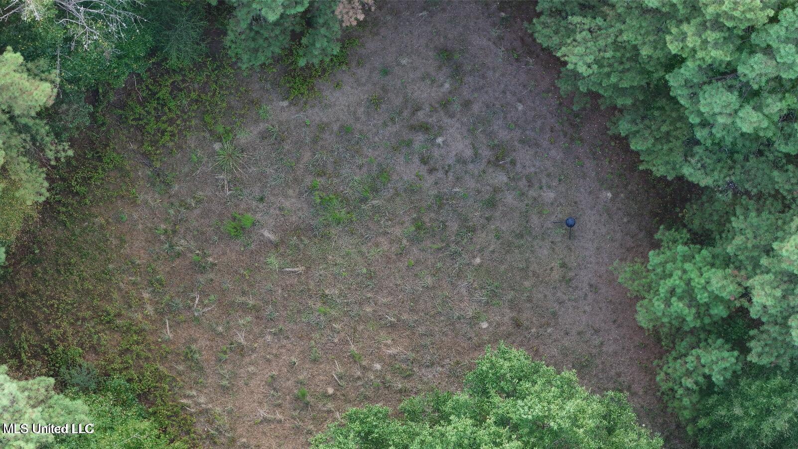 4884 Hwy 13 North Property Photo 5