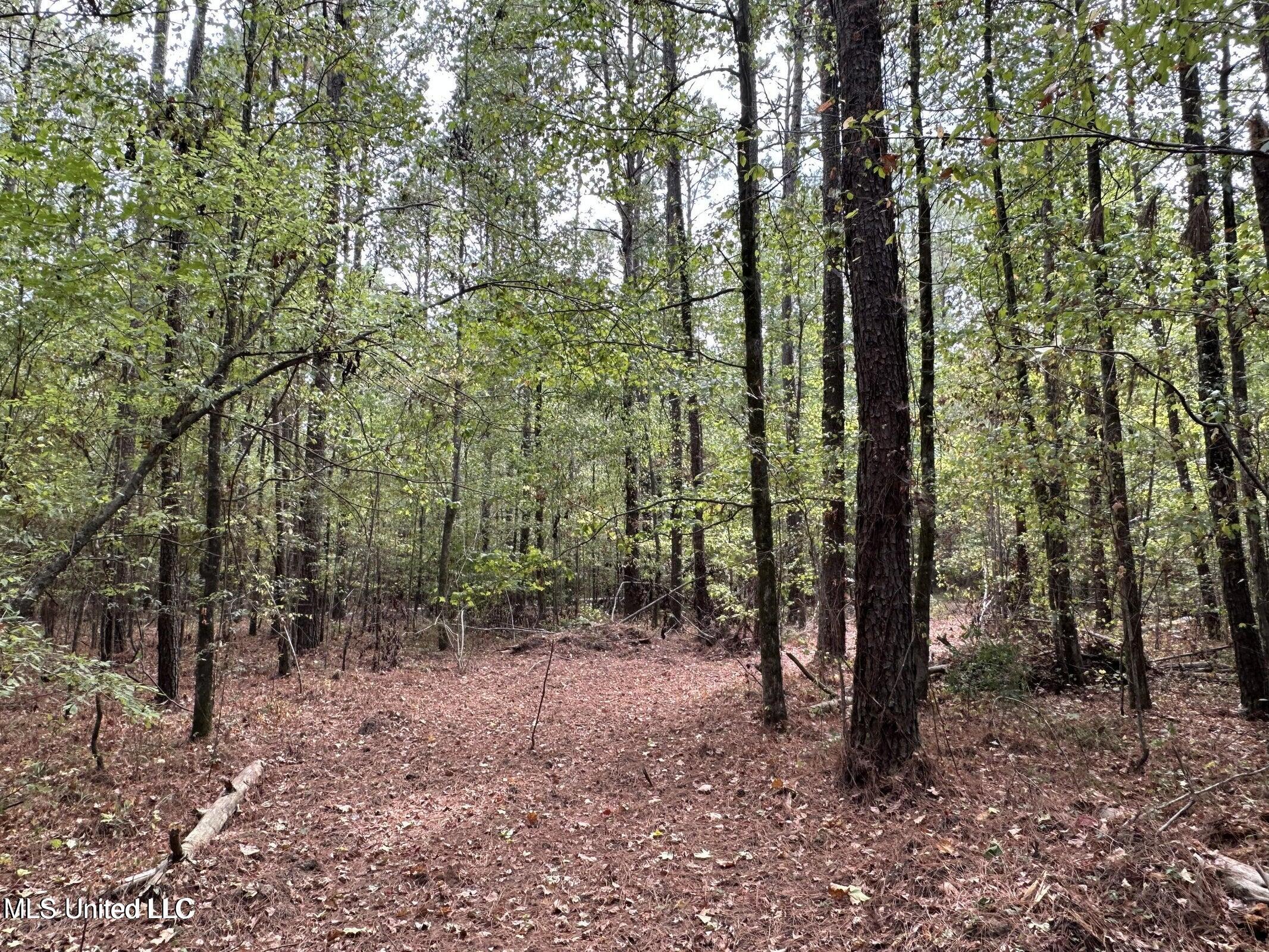 4884 Hwy 13 North Property Photo 6