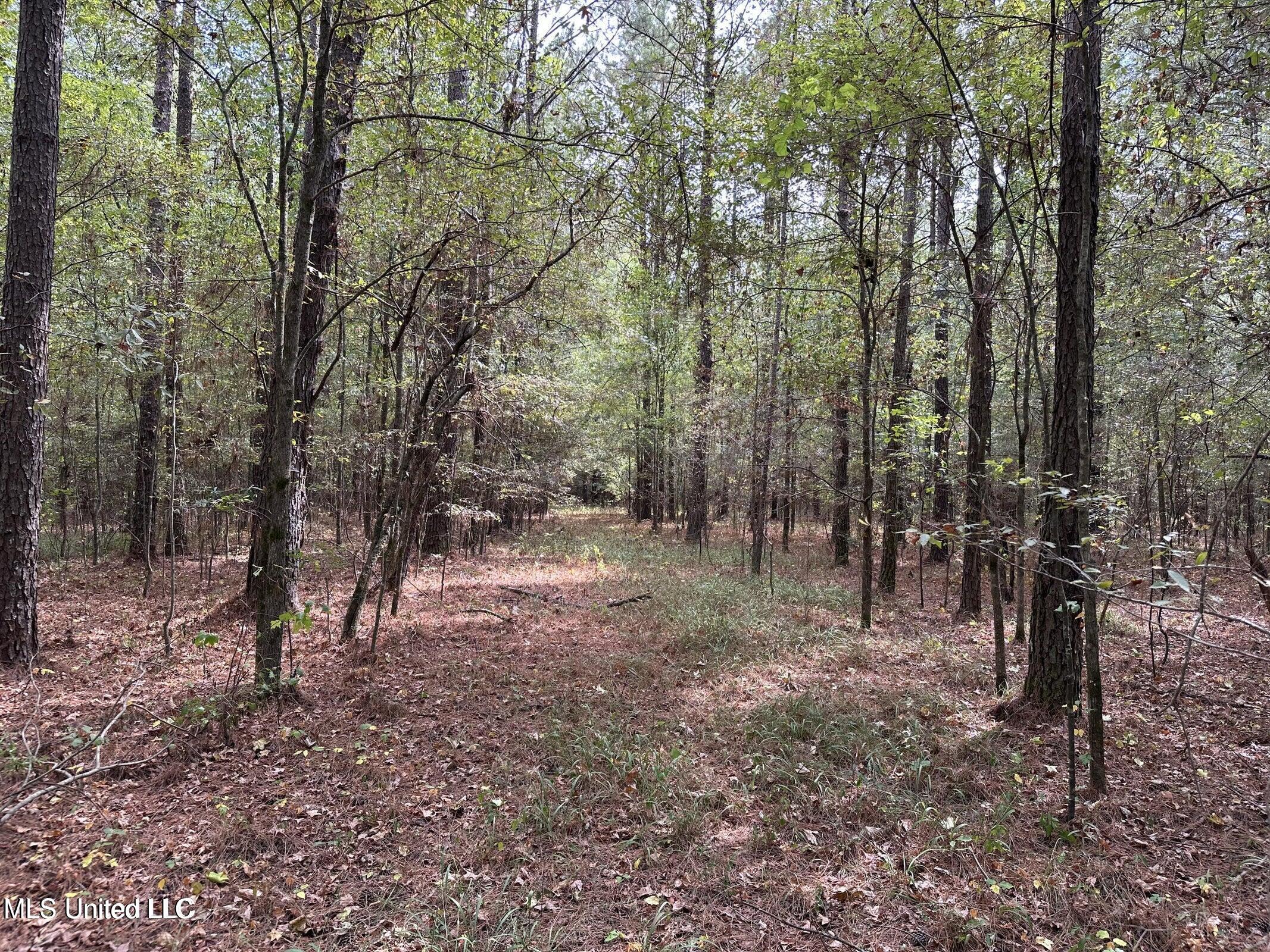 4884 Hwy 13 North Property Photo 7