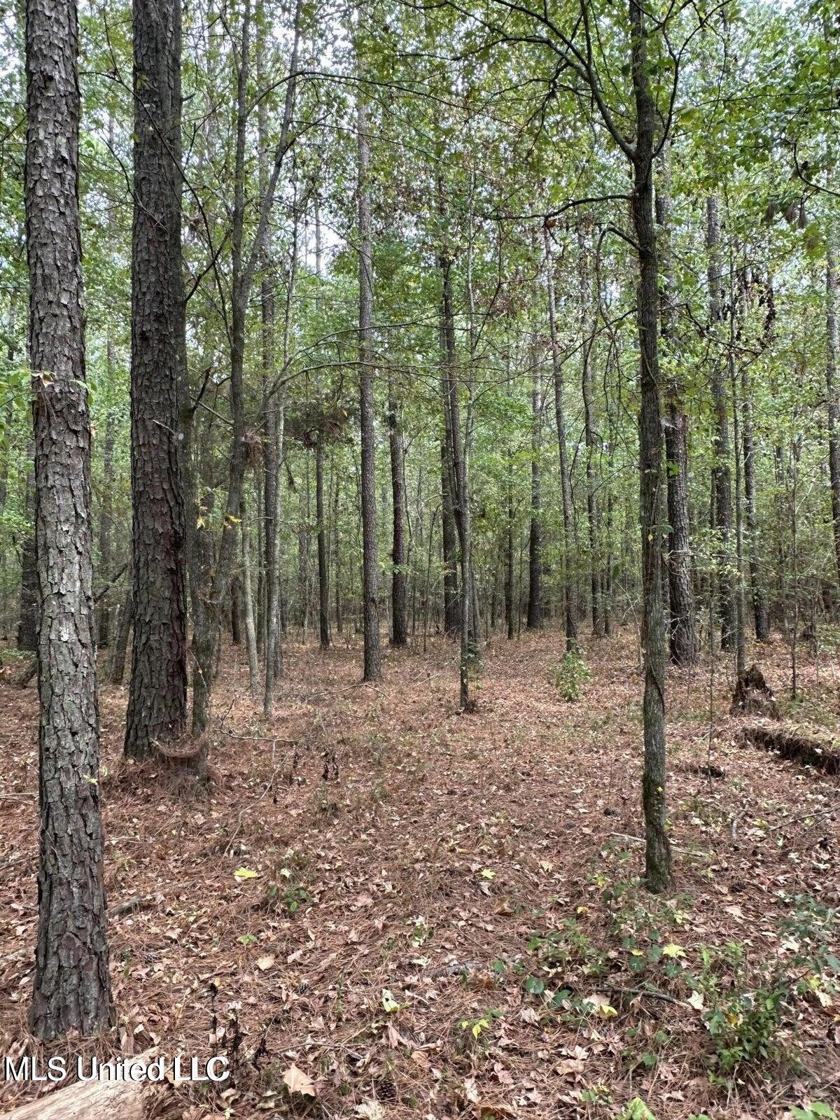 4884 Hwy 13 North Property Photo 8