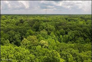 16844 Ms-12 Property Photo 2