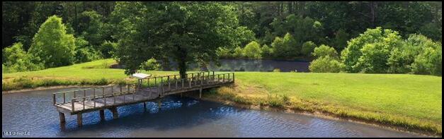 16844 Ms-12 Property Photo 5
