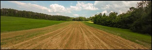 16844 Ms-12 Property Photo 6