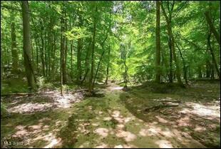 16844 Ms-12 Property Photo 11