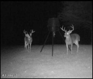 16844 Ms-12 Property Photo 34