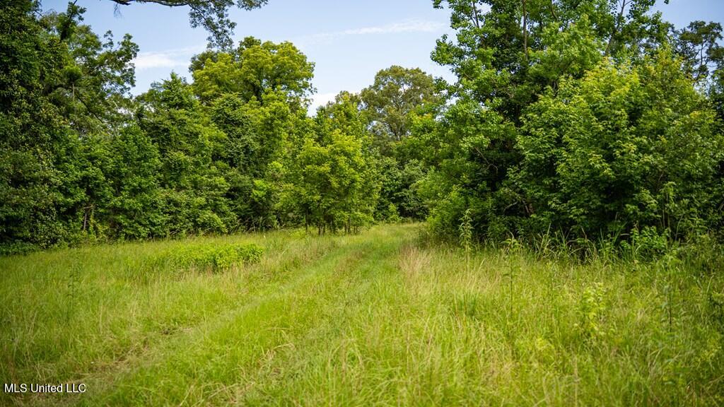 300 W Mount Pleasant Road