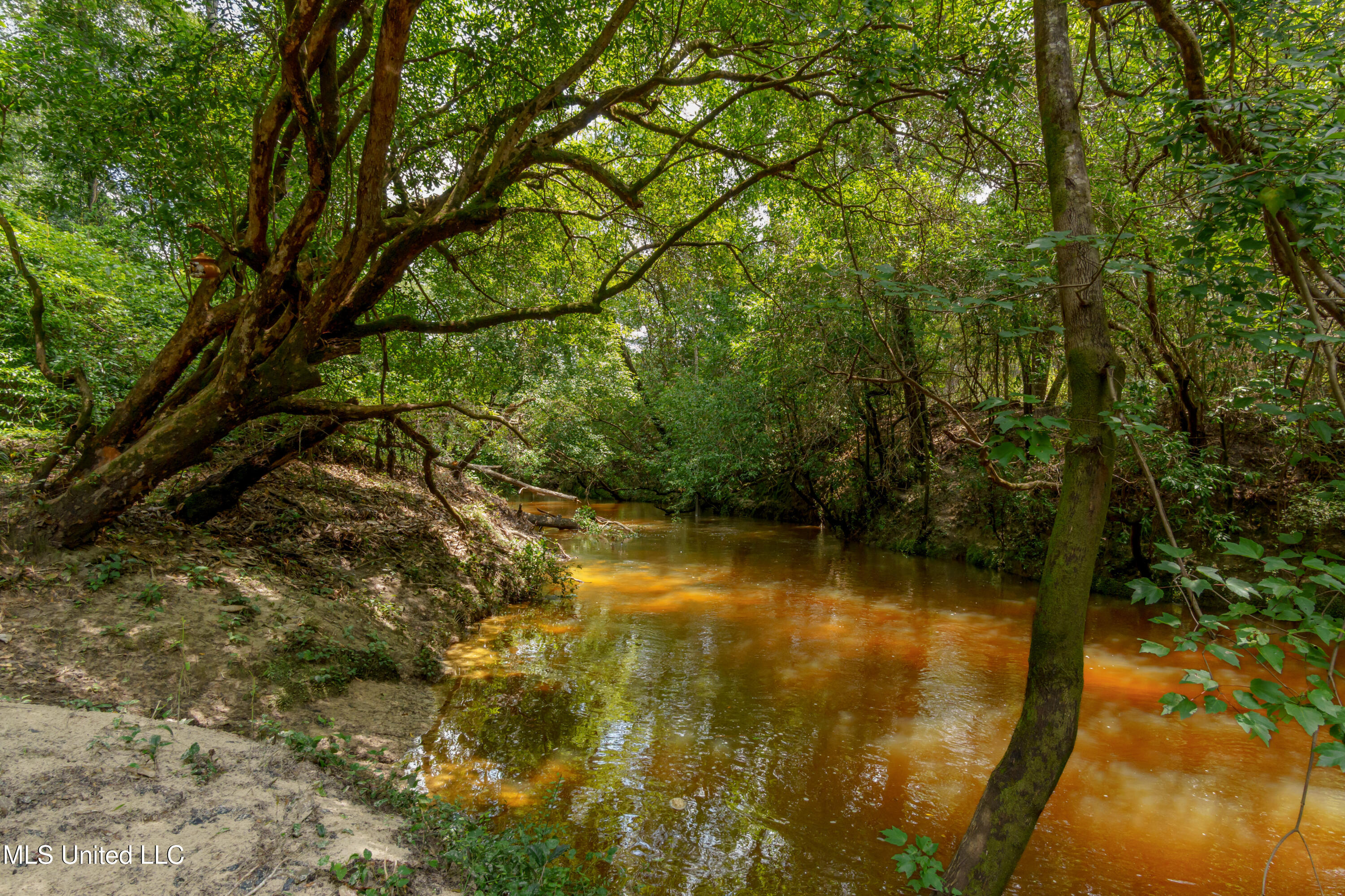 5211 Agricola Latonia Road Property Photo 44
