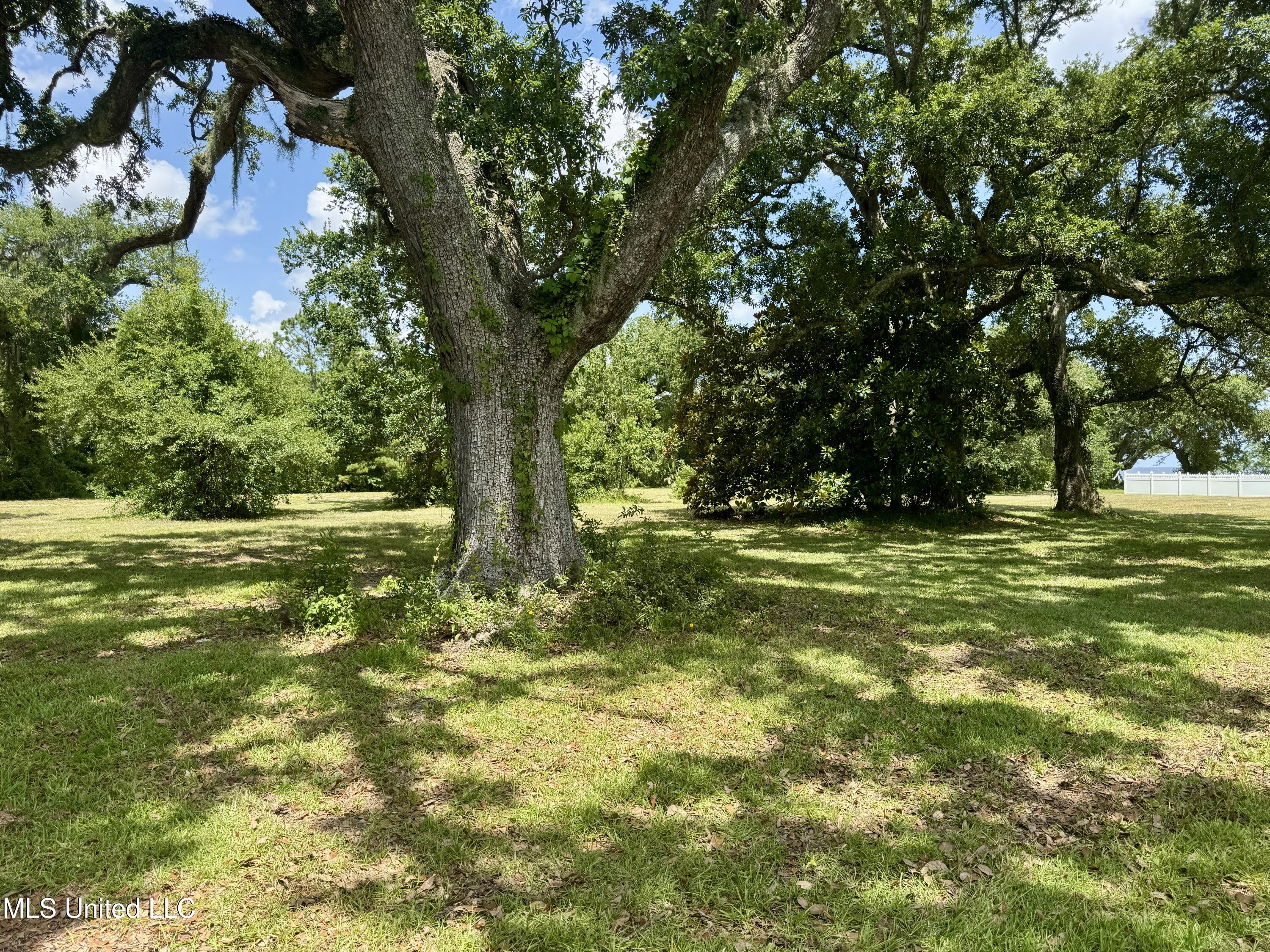 305 N Beach Boulevard Property Photo 6