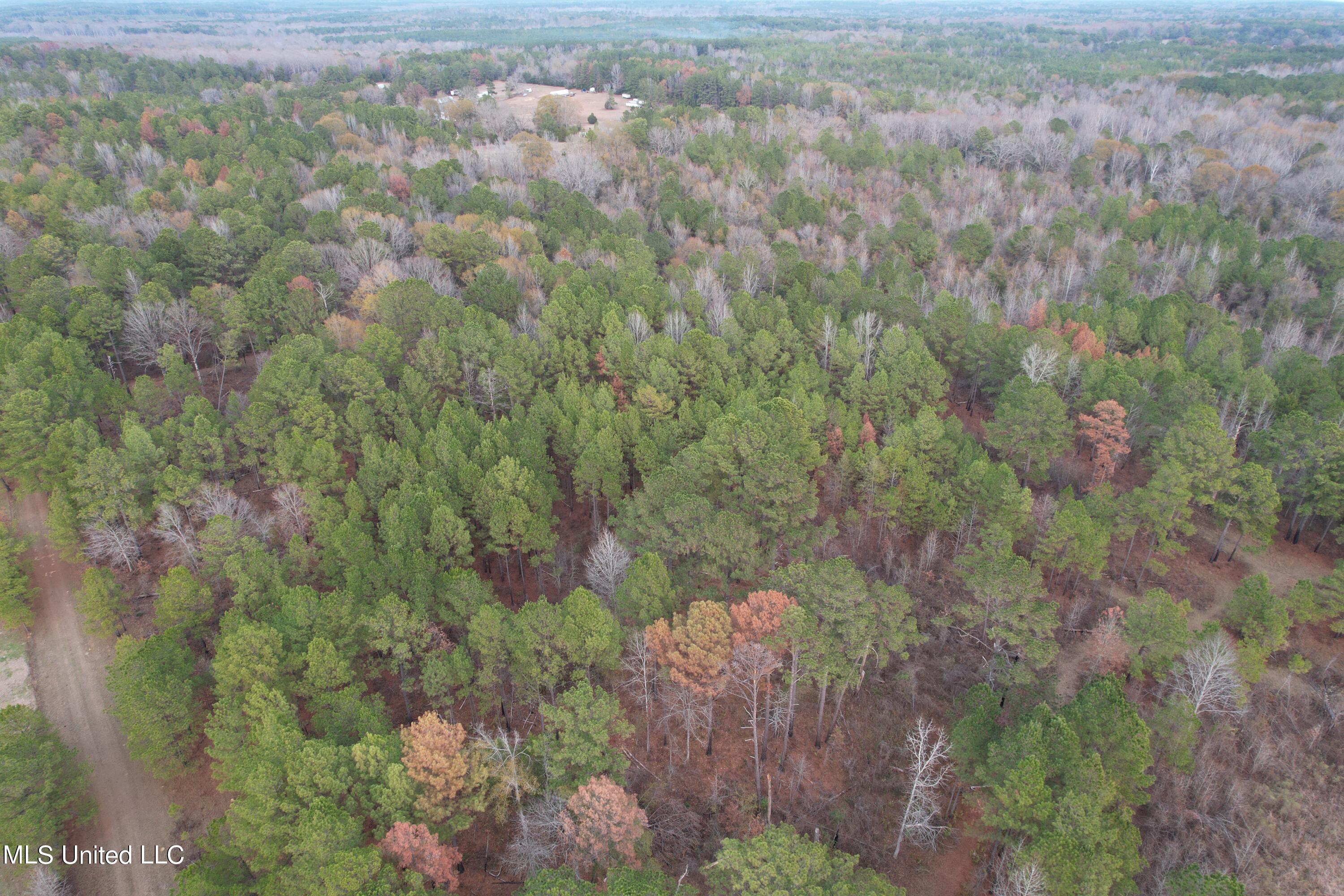 3960 Ms-16 Property Photo 16