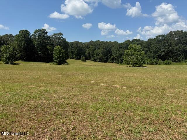 2555 Laws Hill Road Property Photo 2