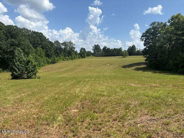 2555 Laws Hill Road Property Photo 5